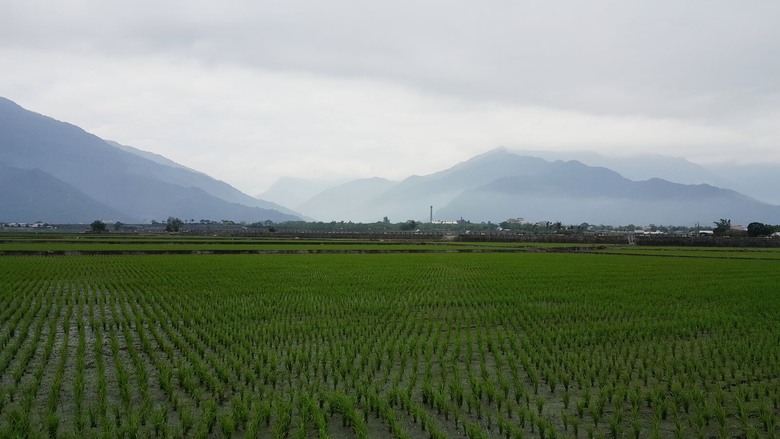 Samsung Galaxy Note5 sample photo. Paddy, mountains, natural photography