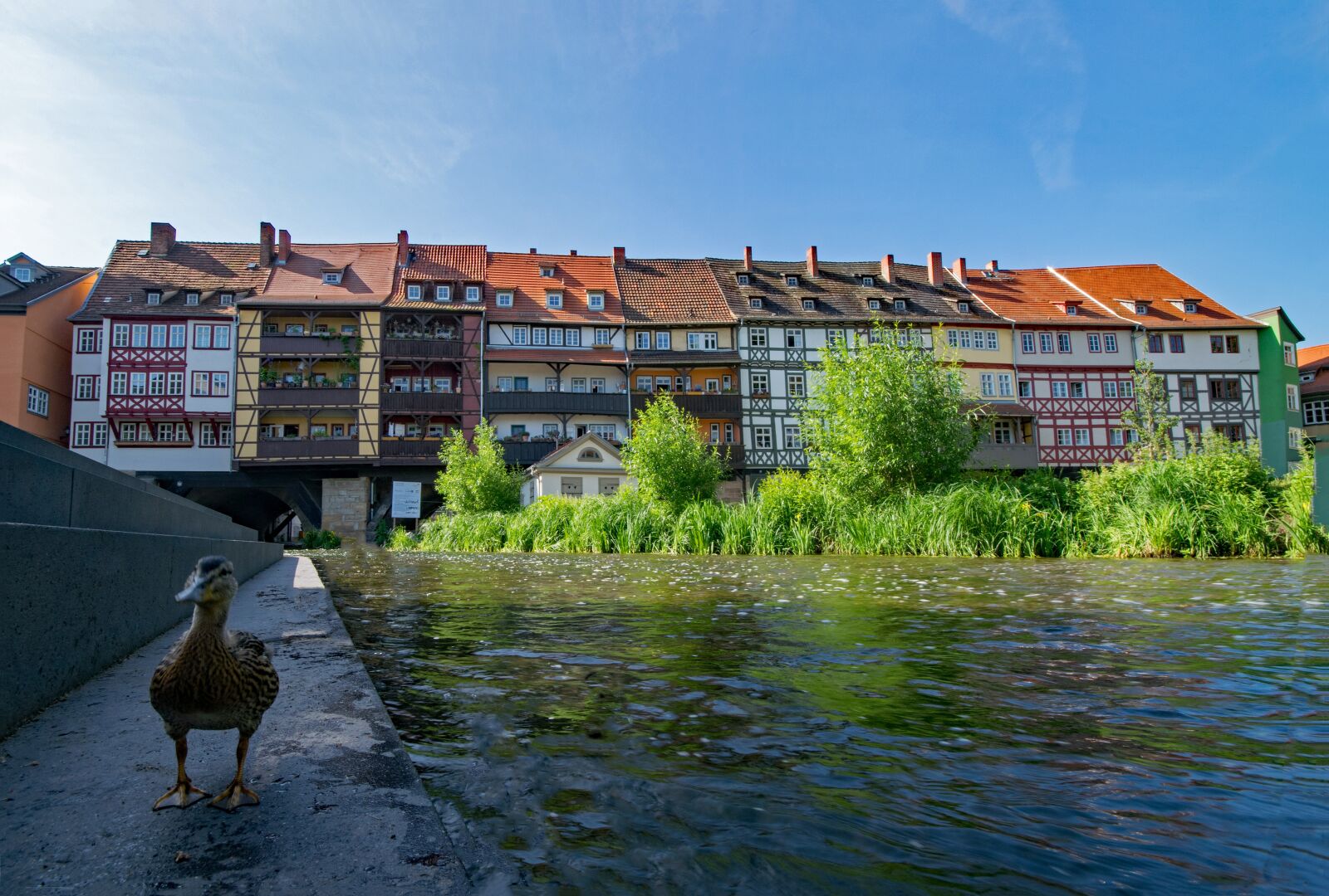 Nikon D5300 sample photo. Chandler bridge, erfurt, thuringia photography