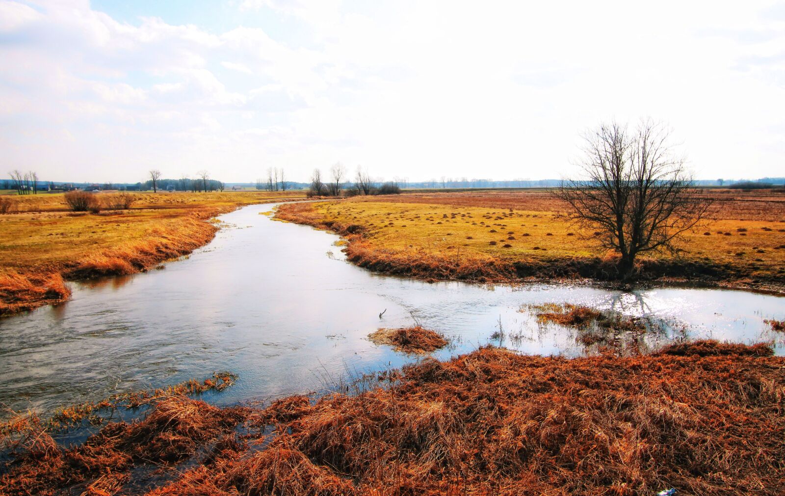 Canon EOS 50D sample photo. The brook, river, landscape photography
