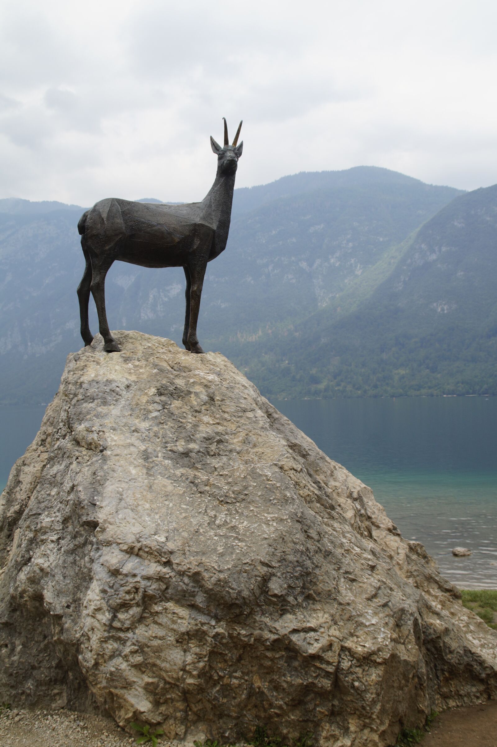 Sony SLT-A58 sample photo. Chamois, slovenia, triglav photography