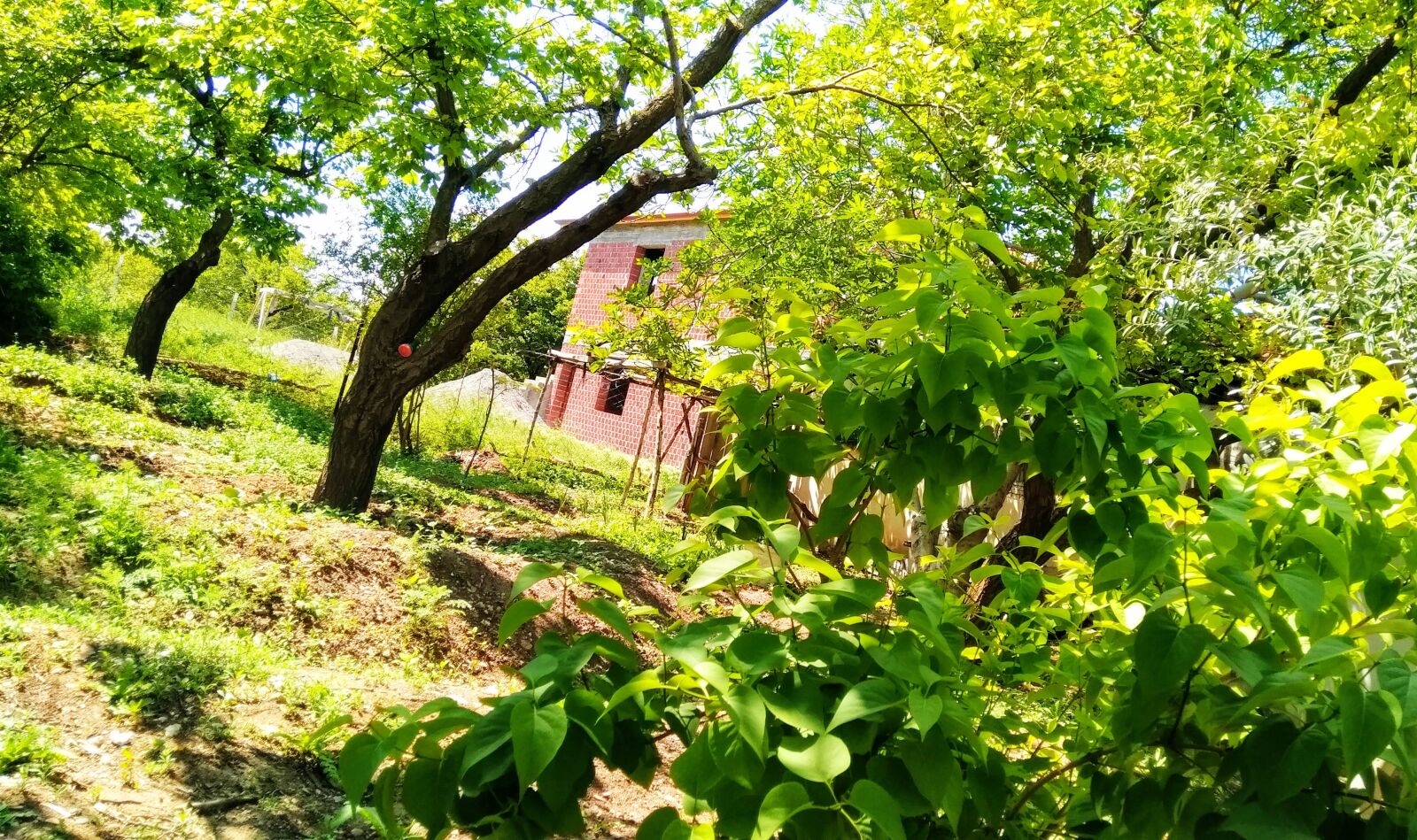 General Mobile GM 5 Plus sample photo