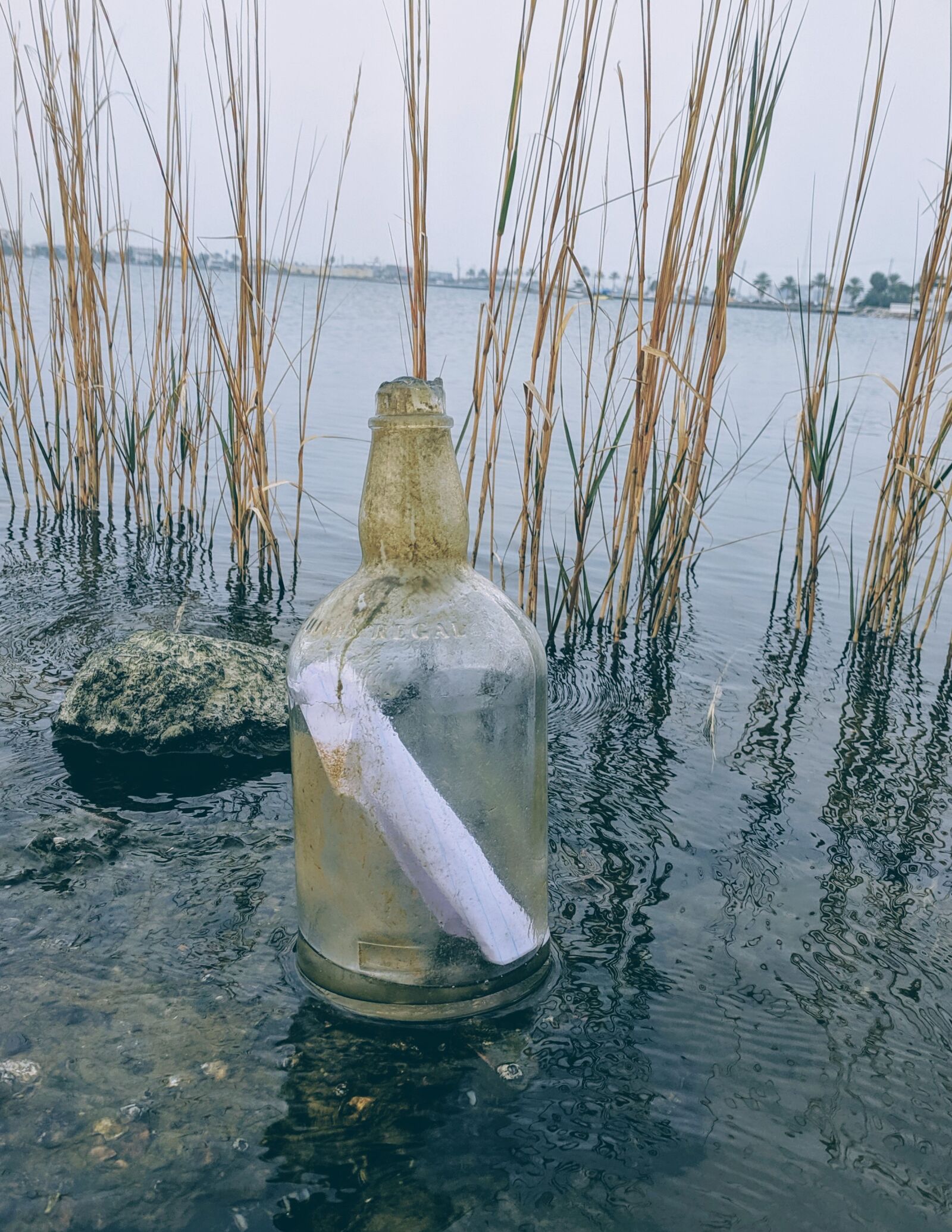 Google Pixel sample photo. Message in a bottle photography