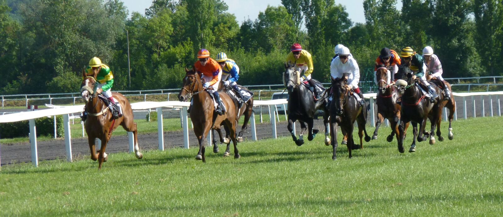 Panasonic Lumix DMC-FZ35 (Lumix DMC-FZ38) sample photo. Hippodrome, horse, race photography
