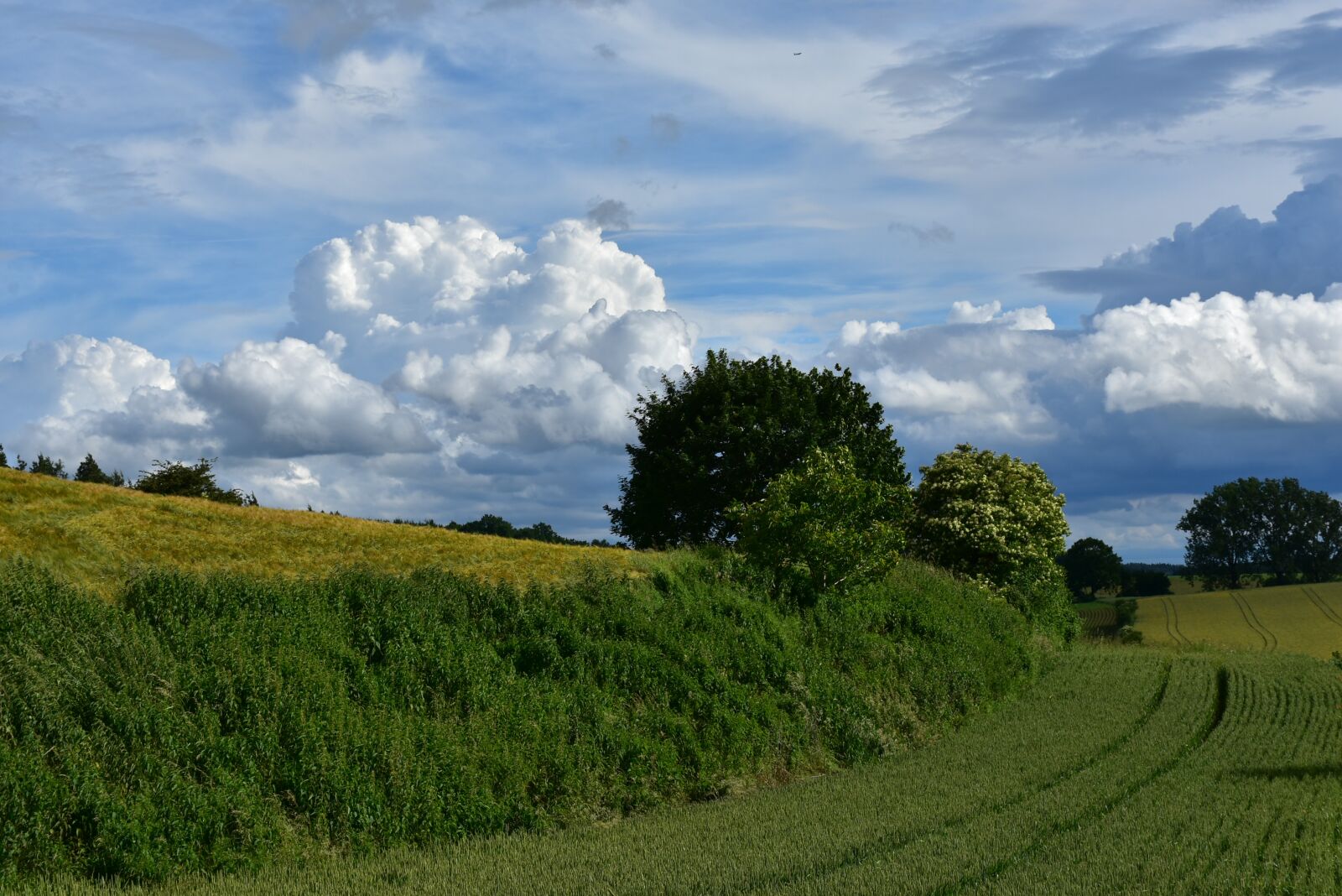 Nikon D7200 sample photo. Clouds, nature, clouds form photography