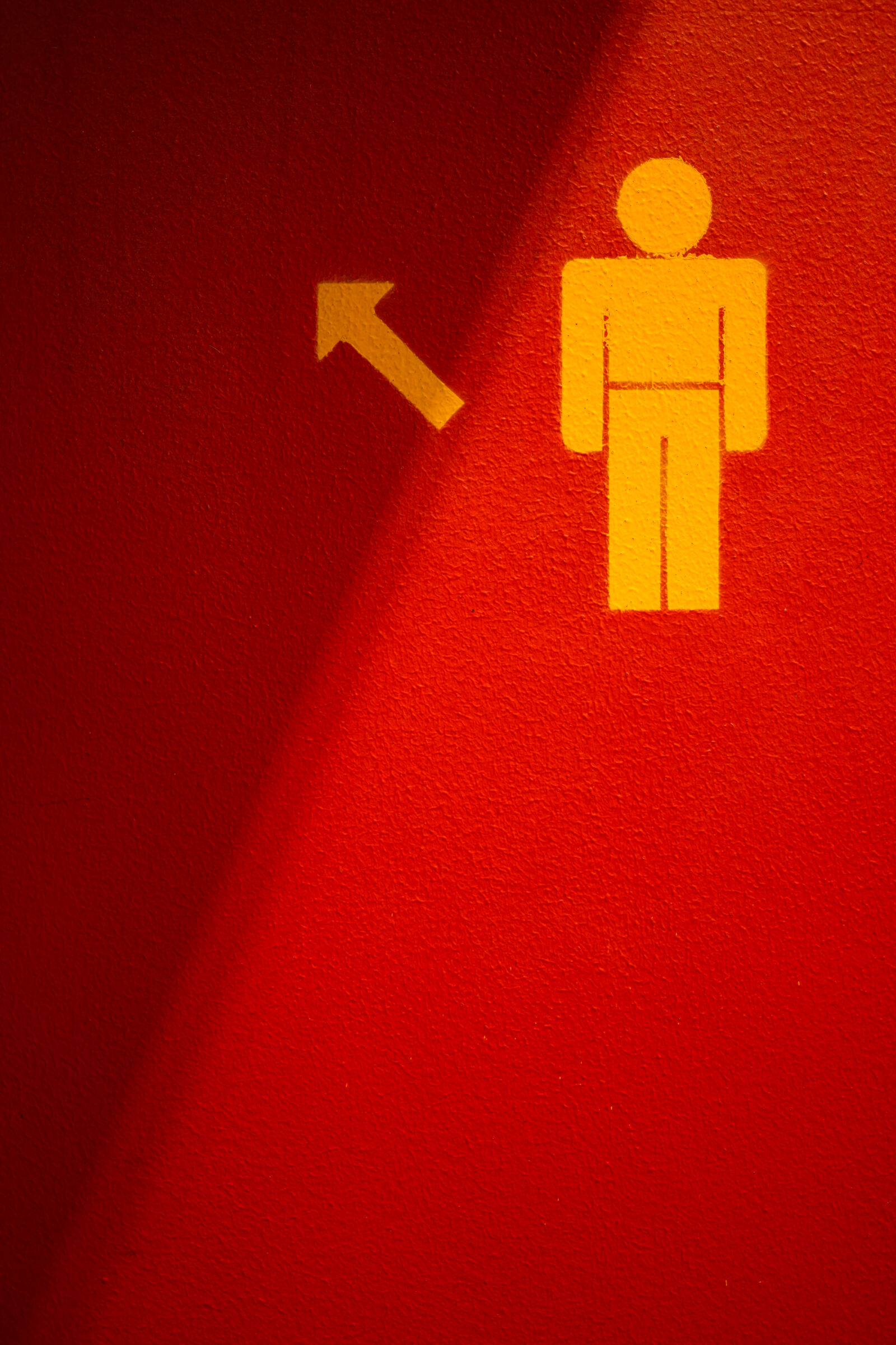 Nikon Z8 sample photo. Wc for men upstairs photography