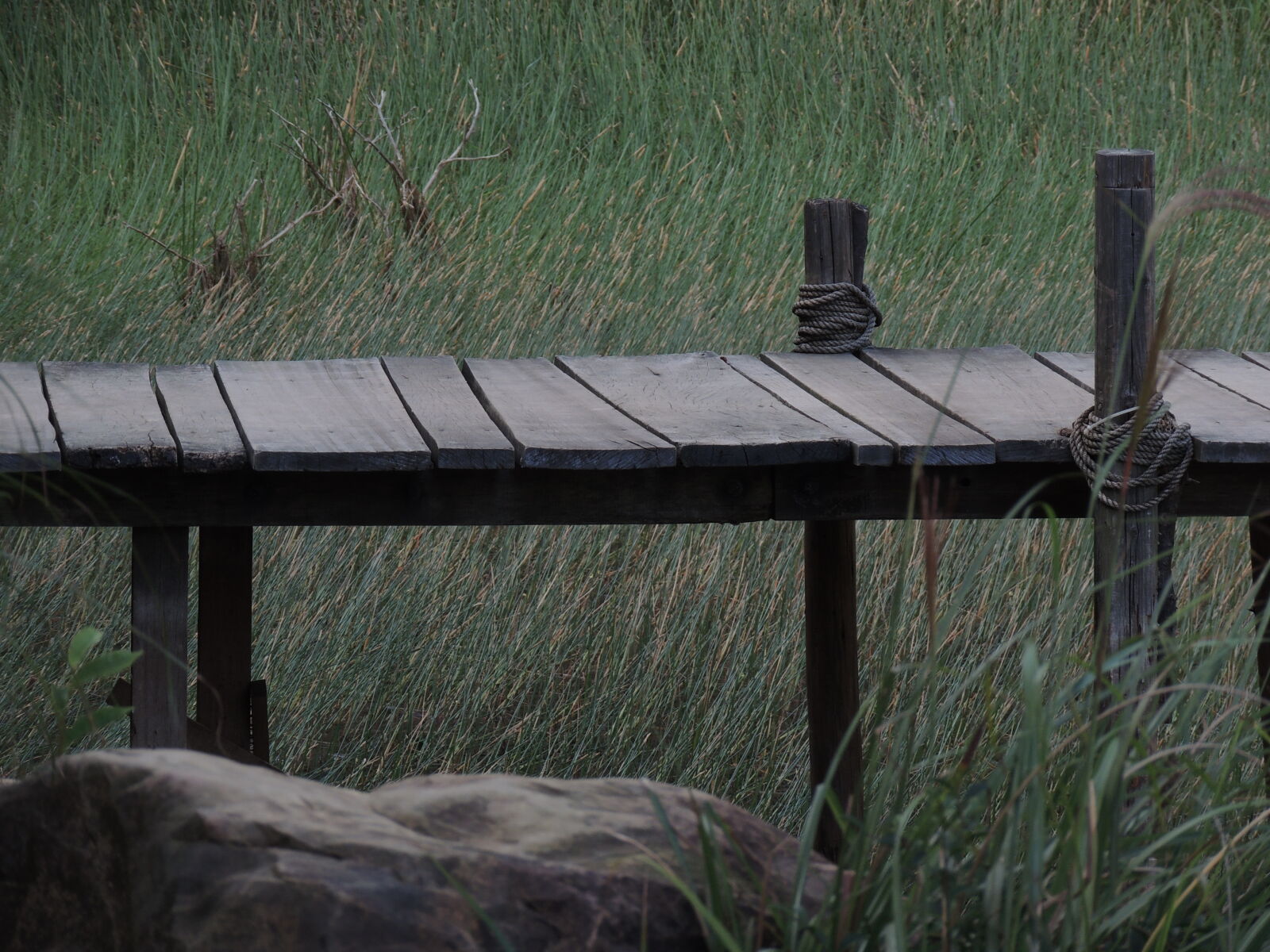 Nikon Coolpix P510 sample photo. Brown, wooden, dock, near photography