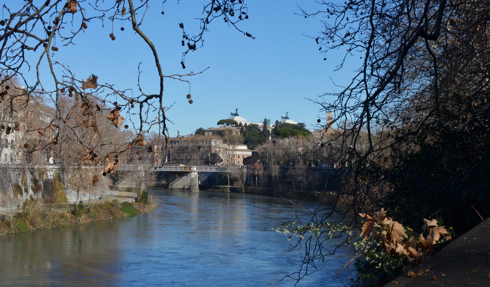 Nikon D5100 sample photo. Rome, river, tiber photography
