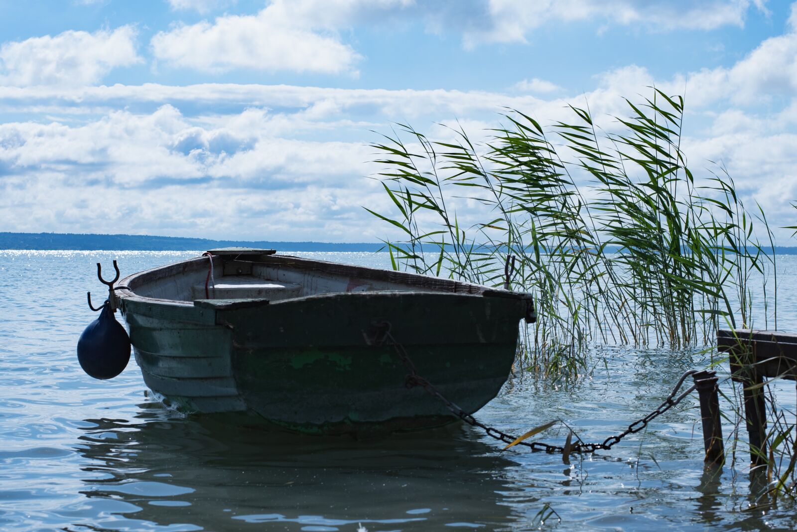 Nikon D750 sample photo. Lake balaton, lake, body photography