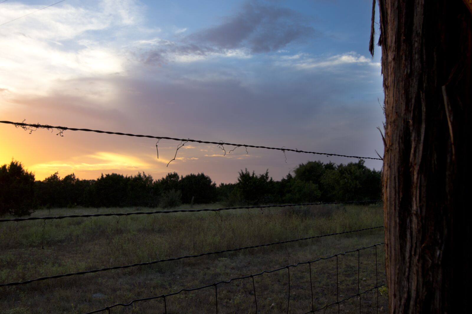 Canon EOS 5D Mark III sample photo. Wire, sunset, fence photography