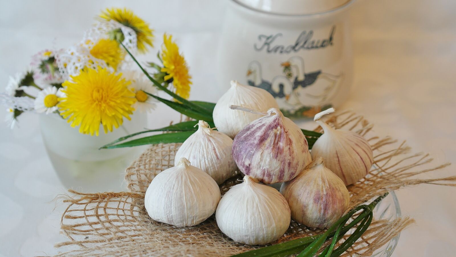 Samsung NX20 sample photo. Garlic, chinese garlic, allium photography