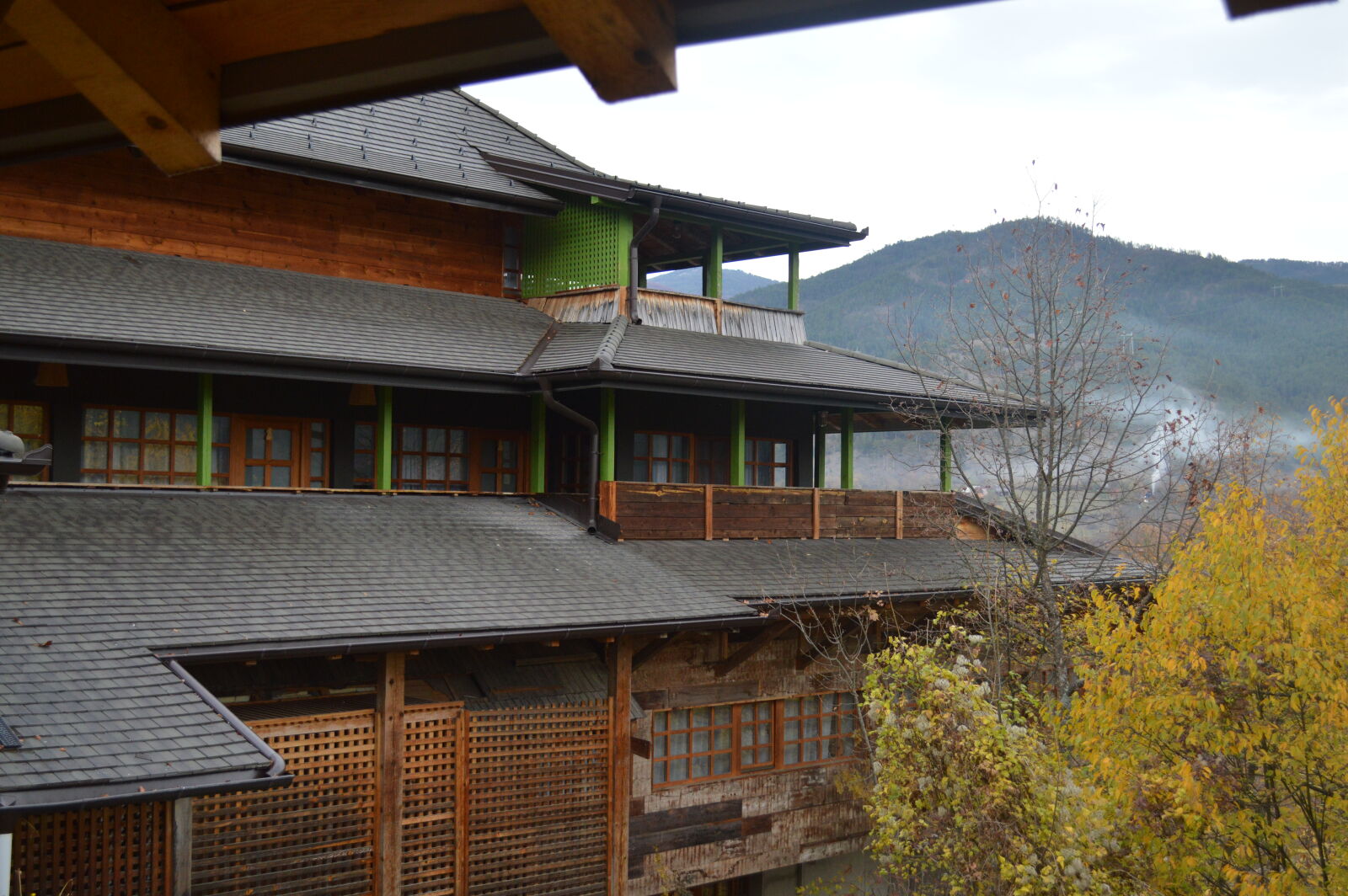 Nikon D3200 sample photo