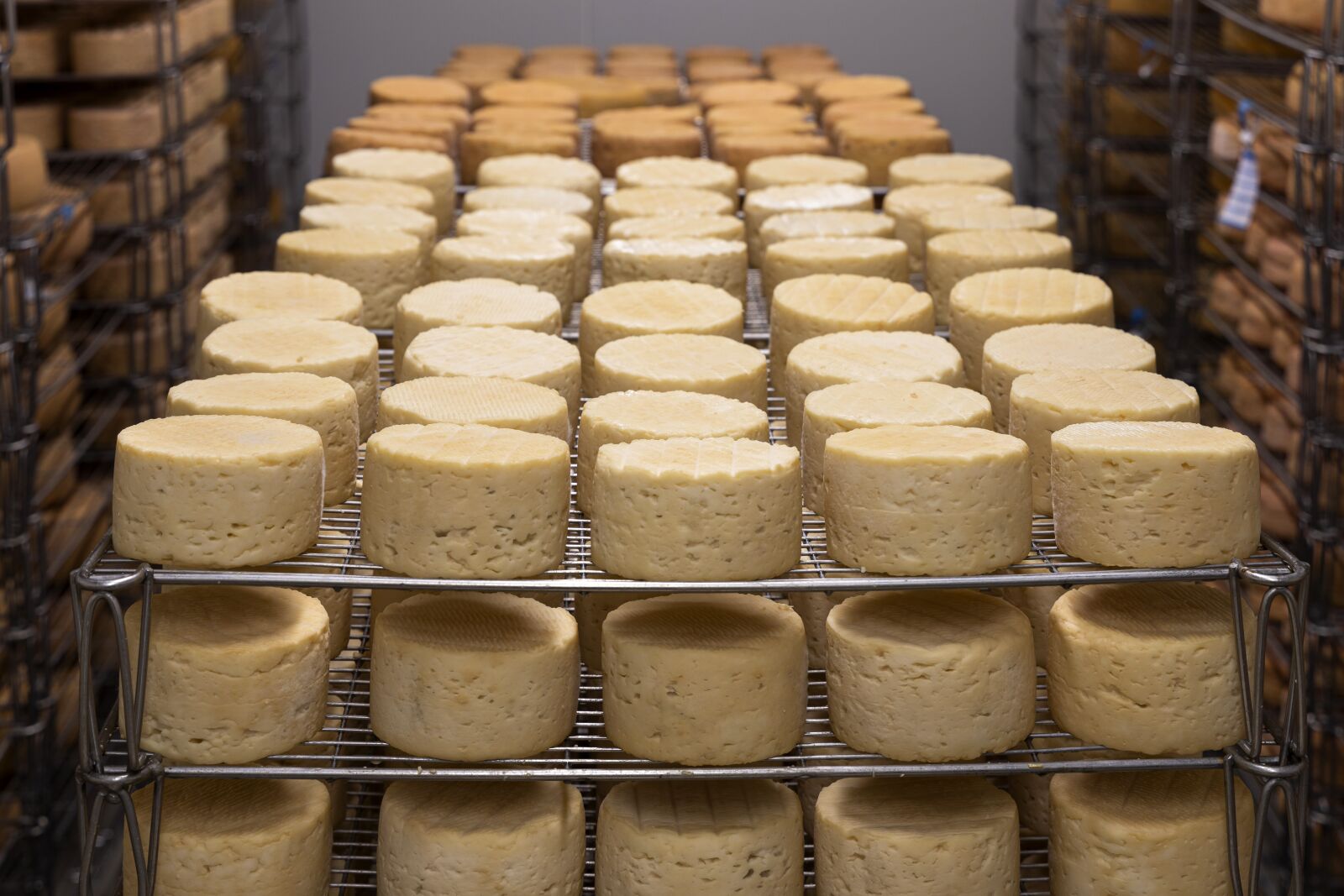 Canon RF 24-105mm F4L IS USM sample photo. Cheese, refining, milk photography