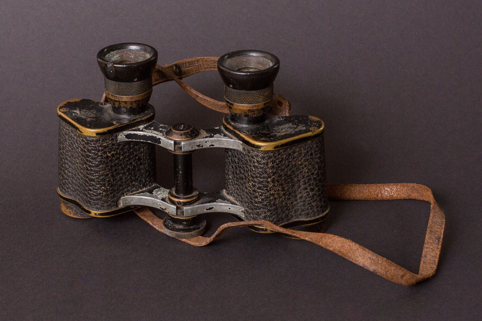 Canon EF 50mm F1.4 USM sample photo. Binoculars, old, distant photography