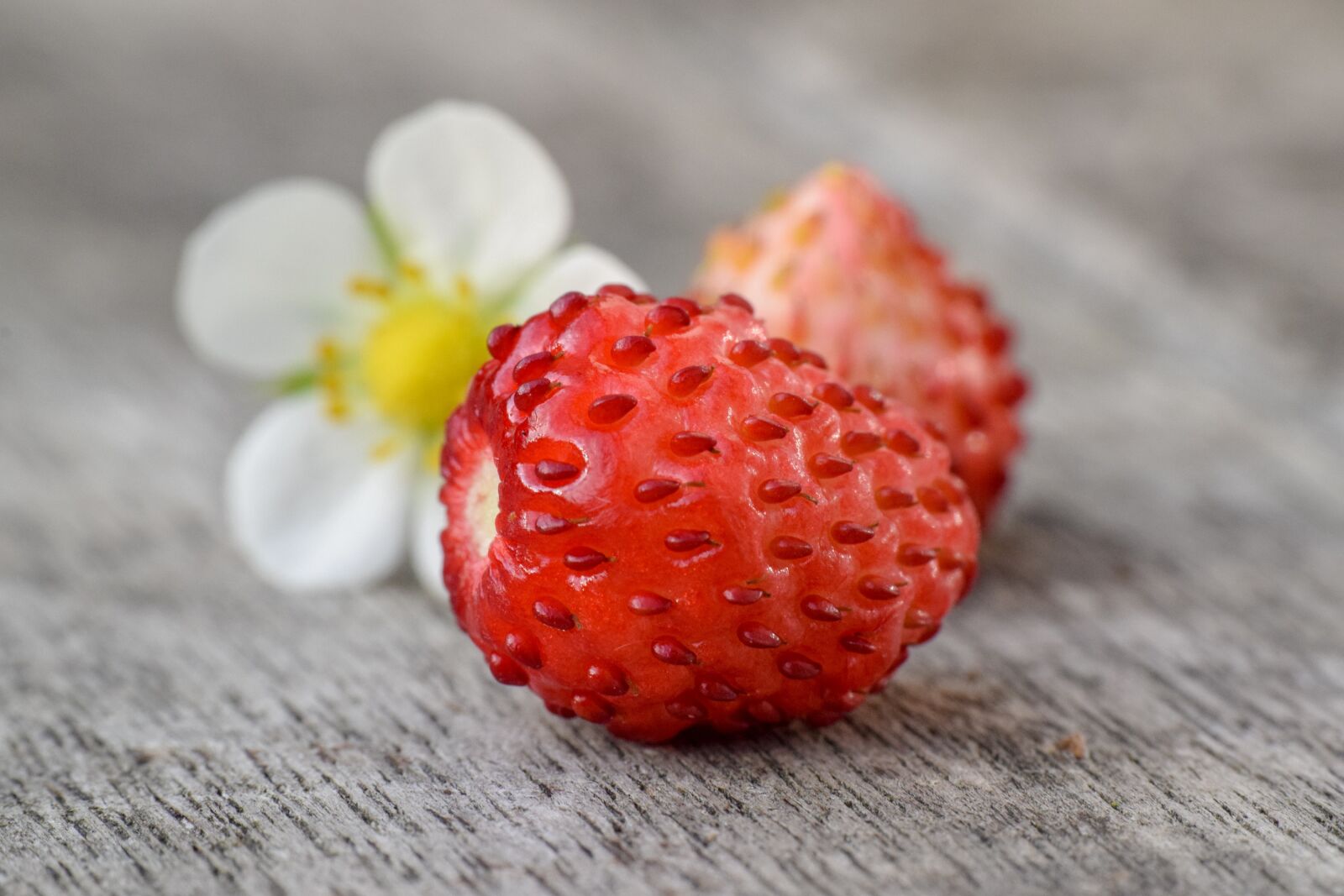 Nikon D3300 sample photo. Wild strawberry, berry, red photography