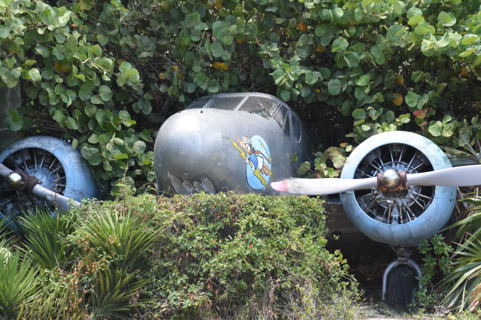 Nikon D7200 sample photo. Jungle, plane, crash photography