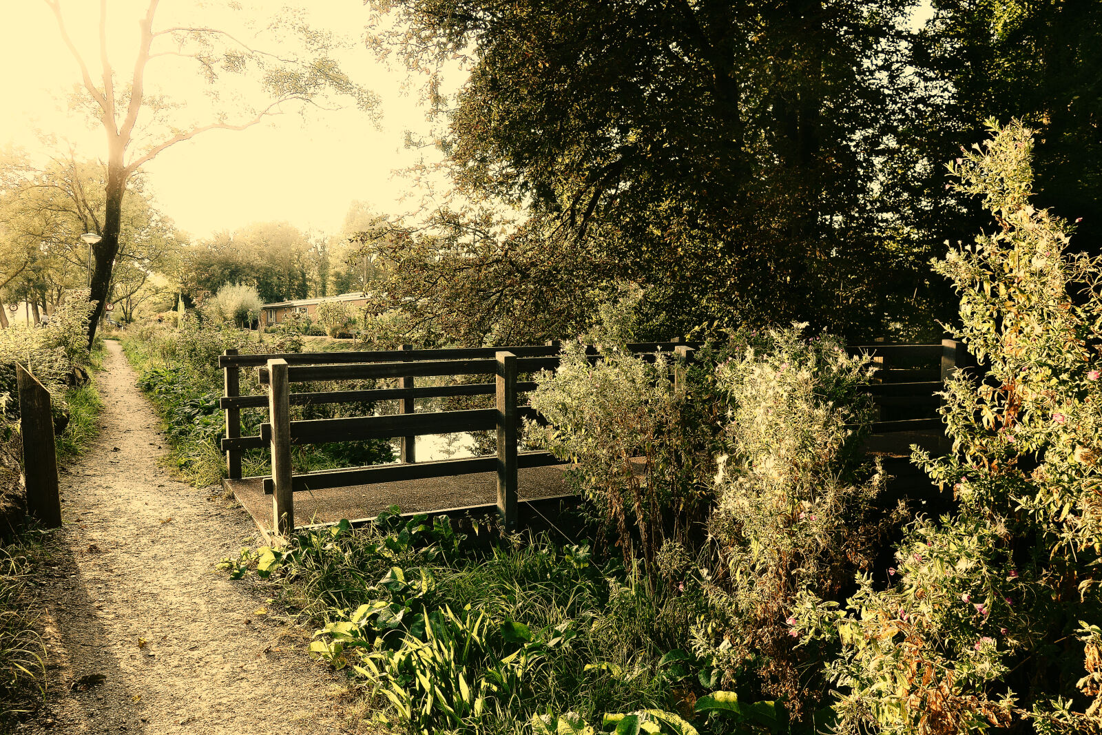 Sony Cyber-shot DSC-RX100 sample photo. Bridge, countryside, landscape, park photography