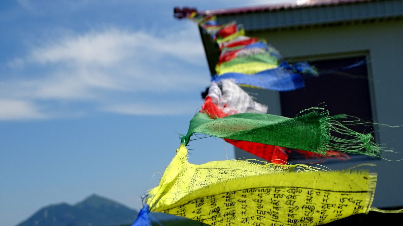 Sony DSC-HX400 sample photo. Flags, buddhism, mantra photography