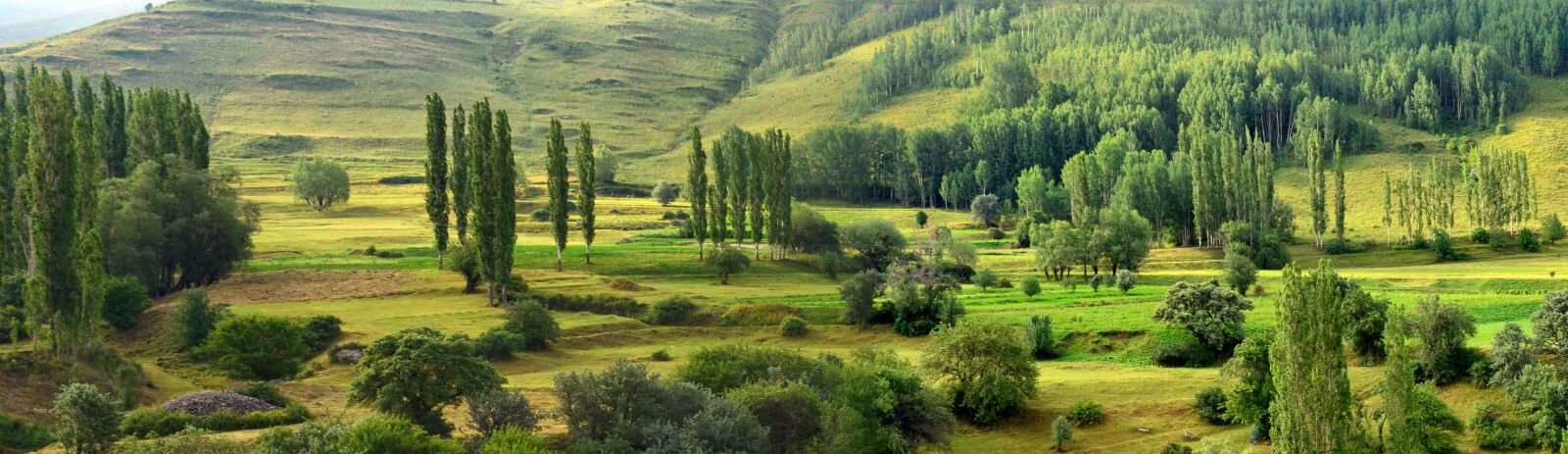 Nikon D5100 sample photo. Nature, landscape, kaçkars photography