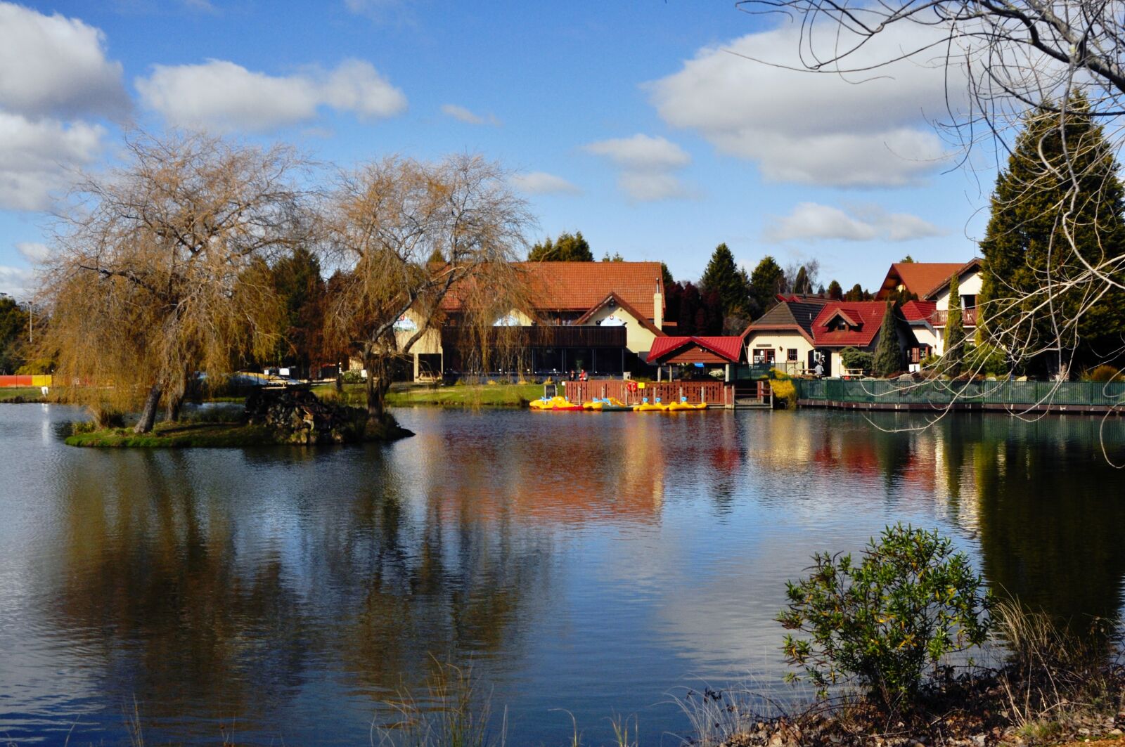 Nikon D90 sample photo. Tasmania, swiss, grindelwald photography