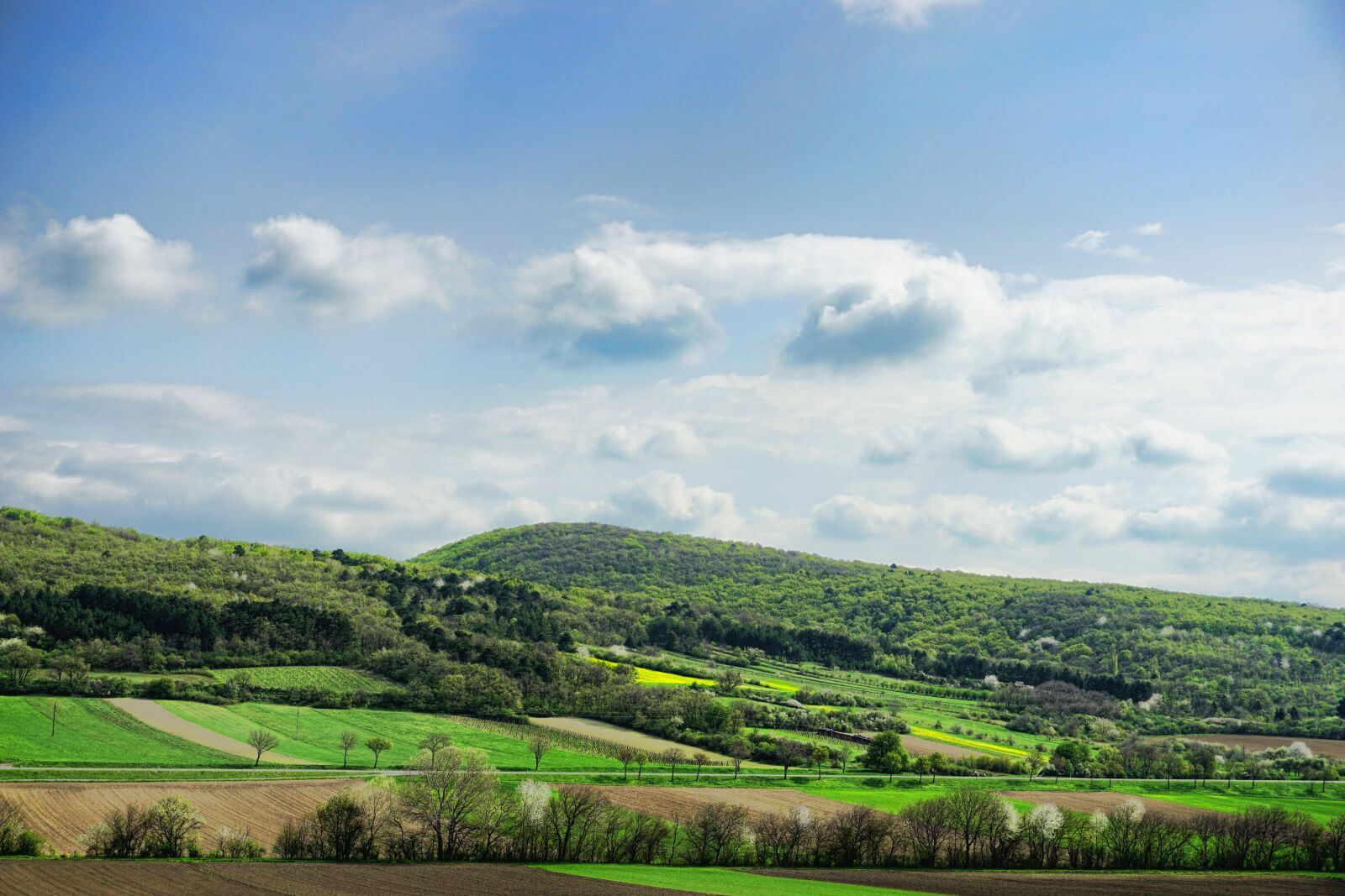 Sony E 18-135mm F3.5-5.6 OSS sample photo. Nature, panorama, fields photography