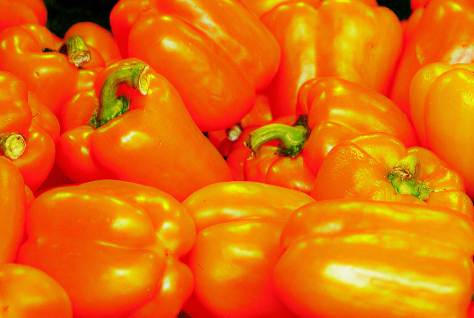 Panasonic Lumix DMC-FZ1000 sample photo. Paprika, vegetables, spice photography