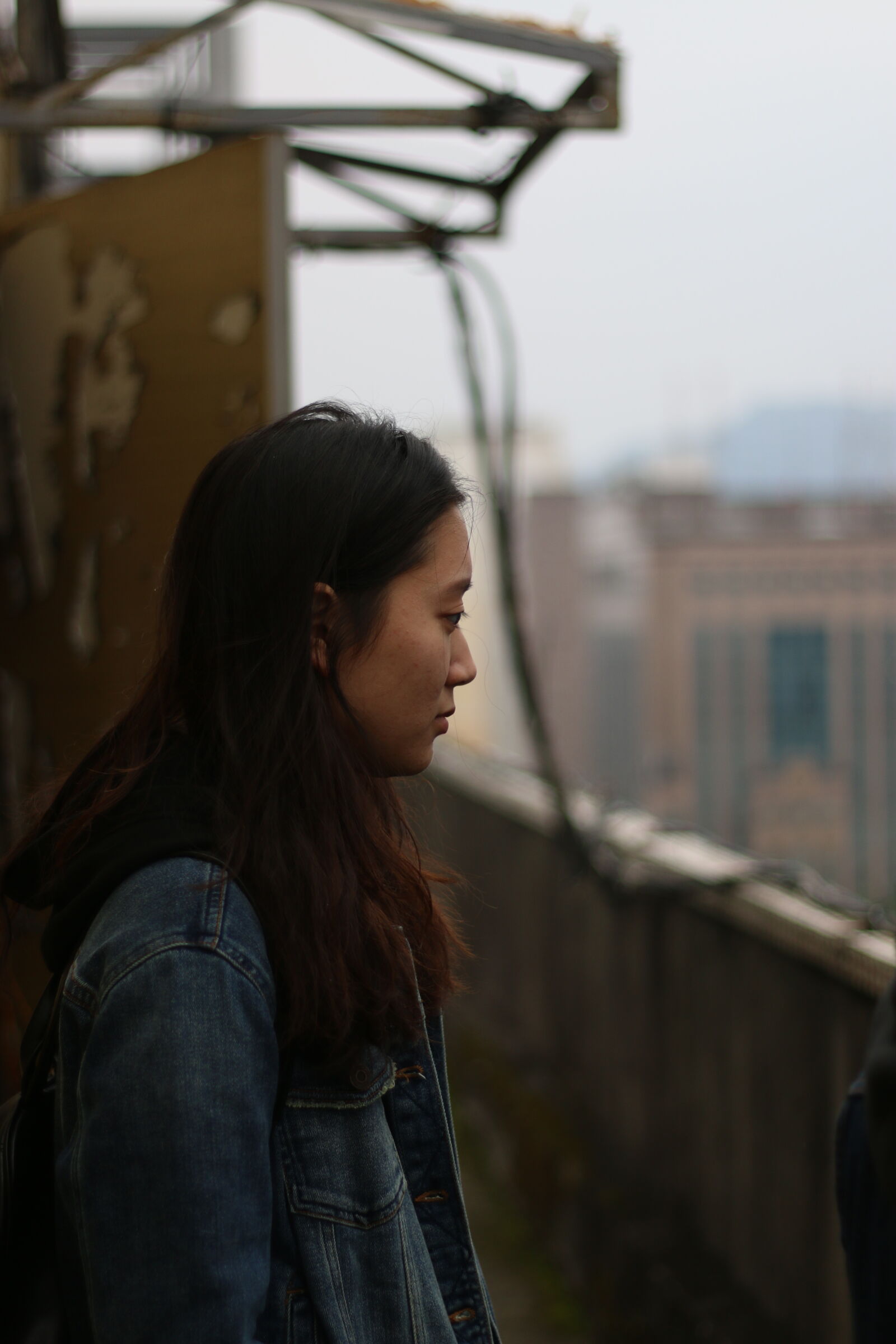 Canon EOS 70D + Canon EF 50mm F1.8 II sample photo