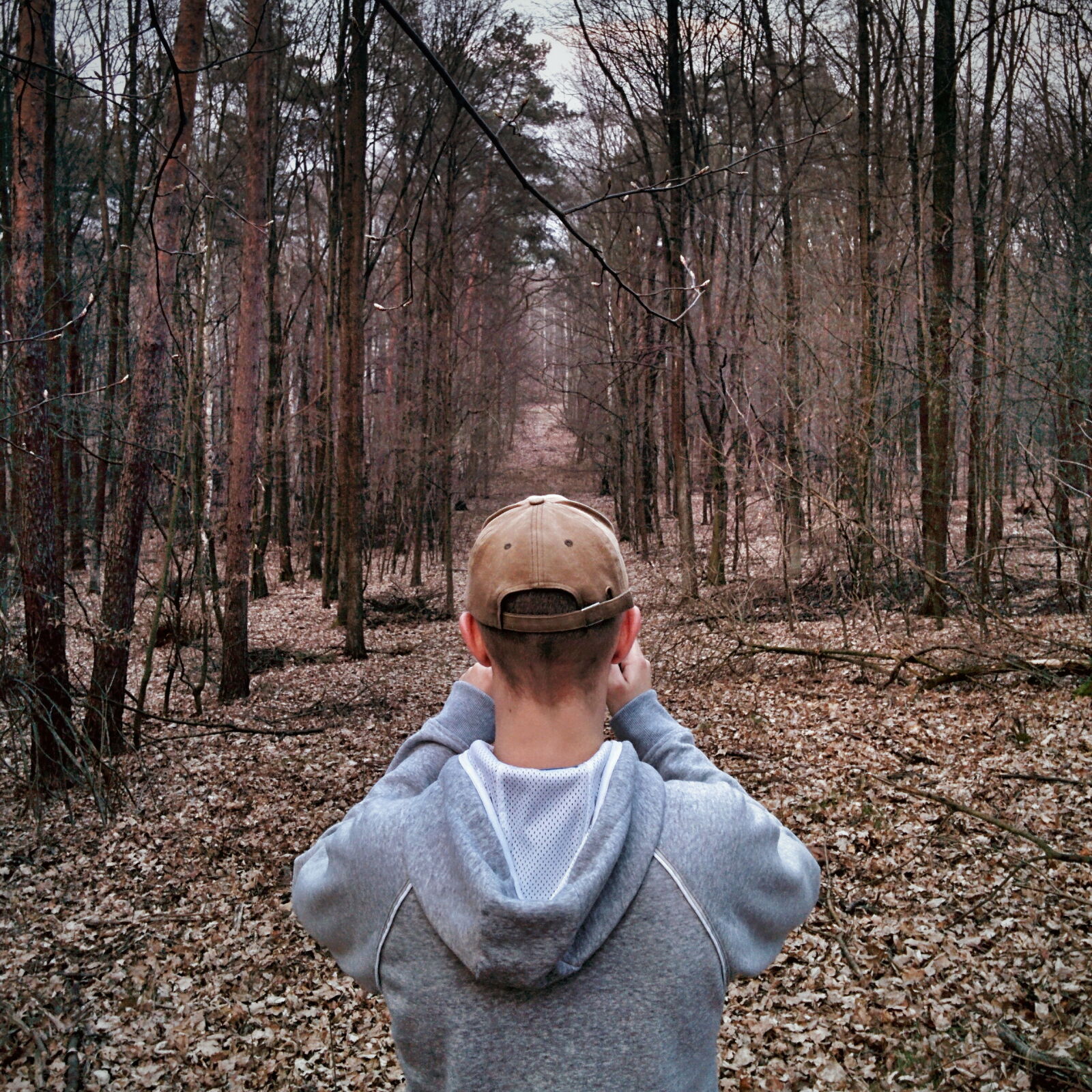 LG Nexus 5 sample photo. Forest, mobile, wroclaw photography