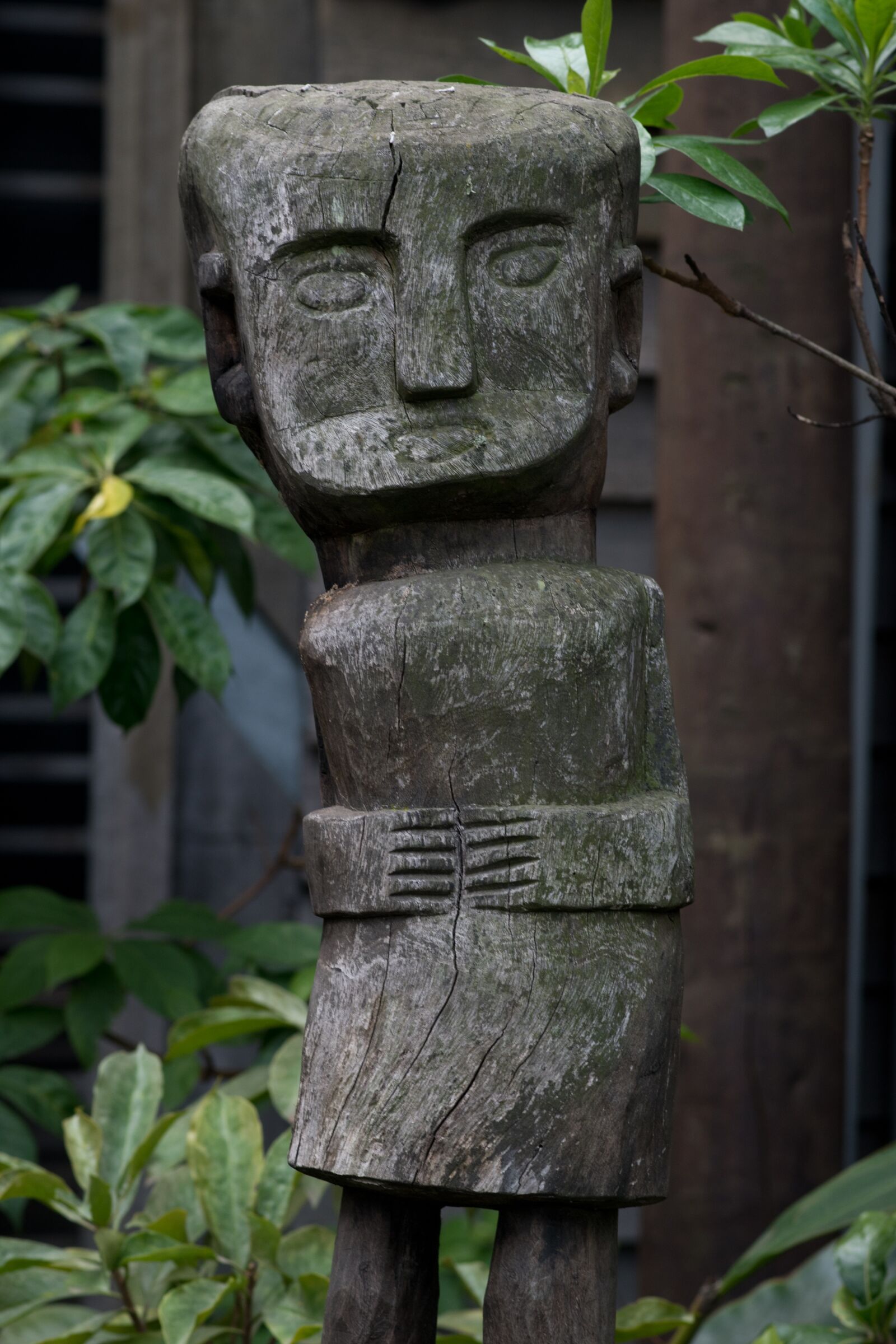 Nikon D5500 sample photo. Melbourne zoo, voodoo, statue photography