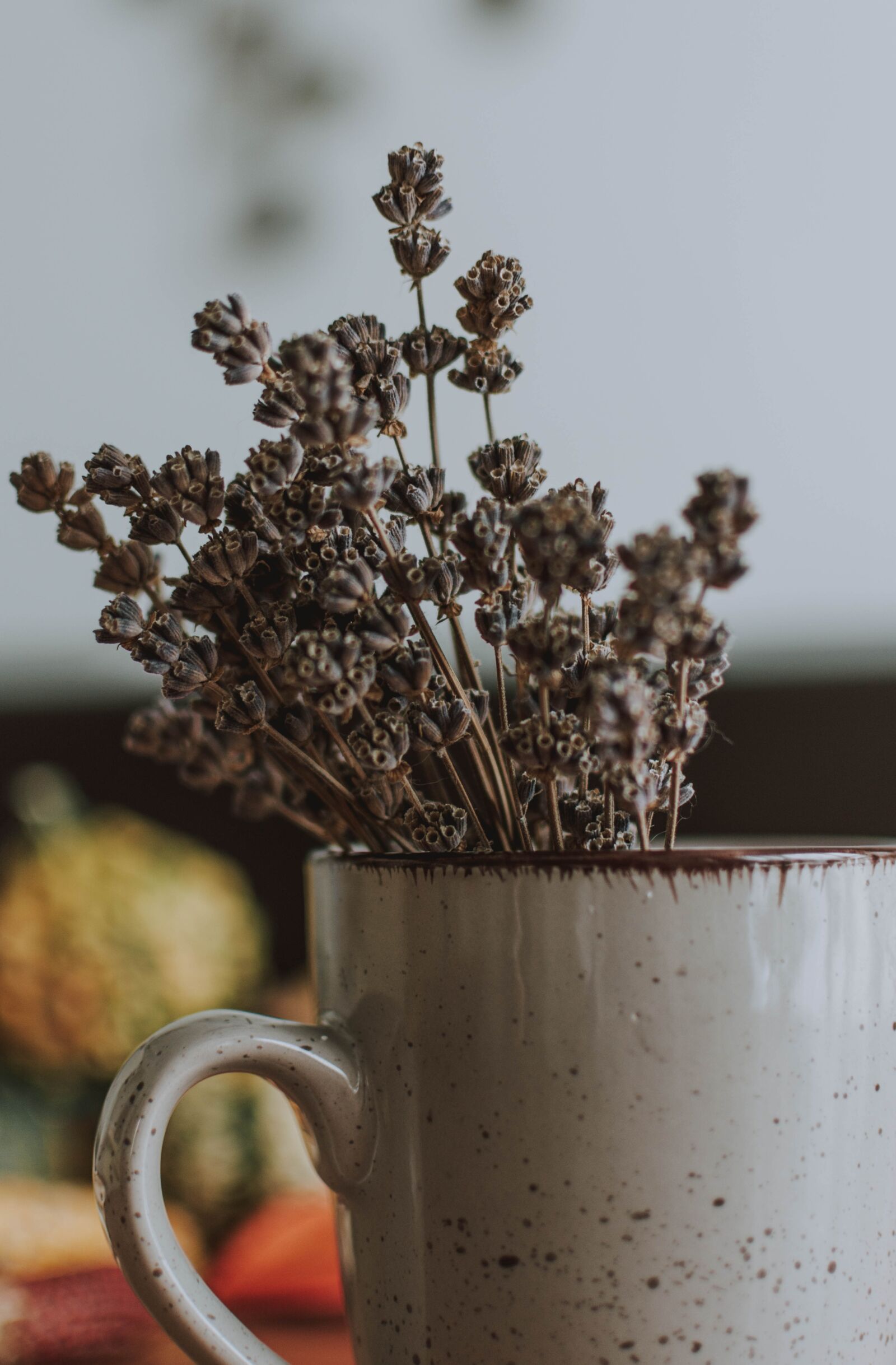 Nikon D5200 sample photo. Cup, lavender, lifestyle photography
