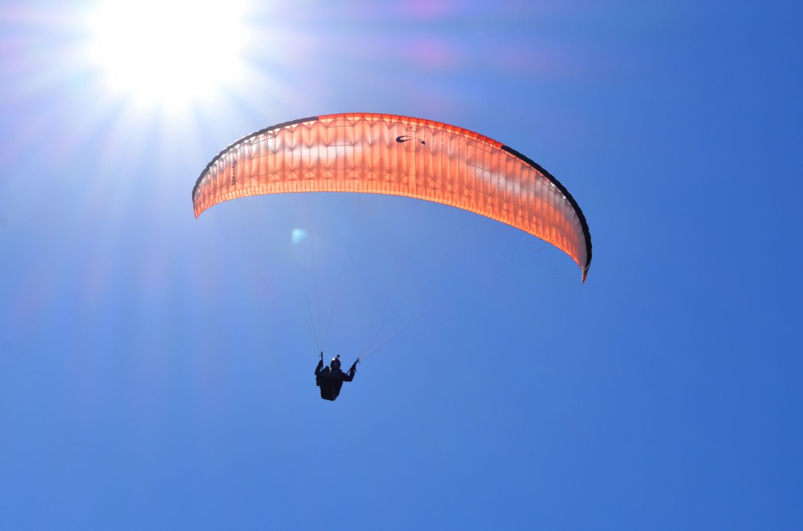 Nikon D3400 sample photo. Paragliding, sky, flight photography