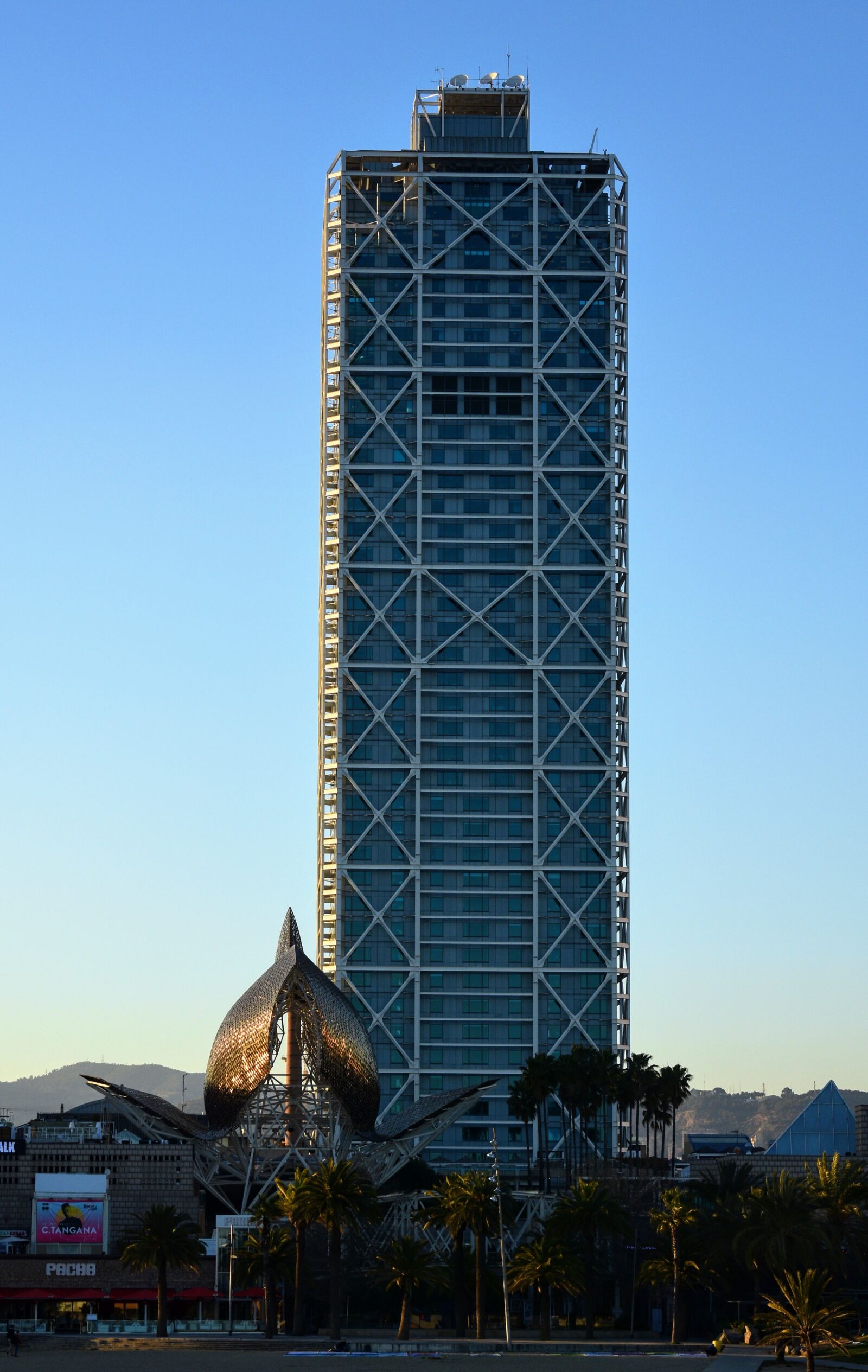 Nikon D7200 sample photo. Frank, fish, barcelona photography