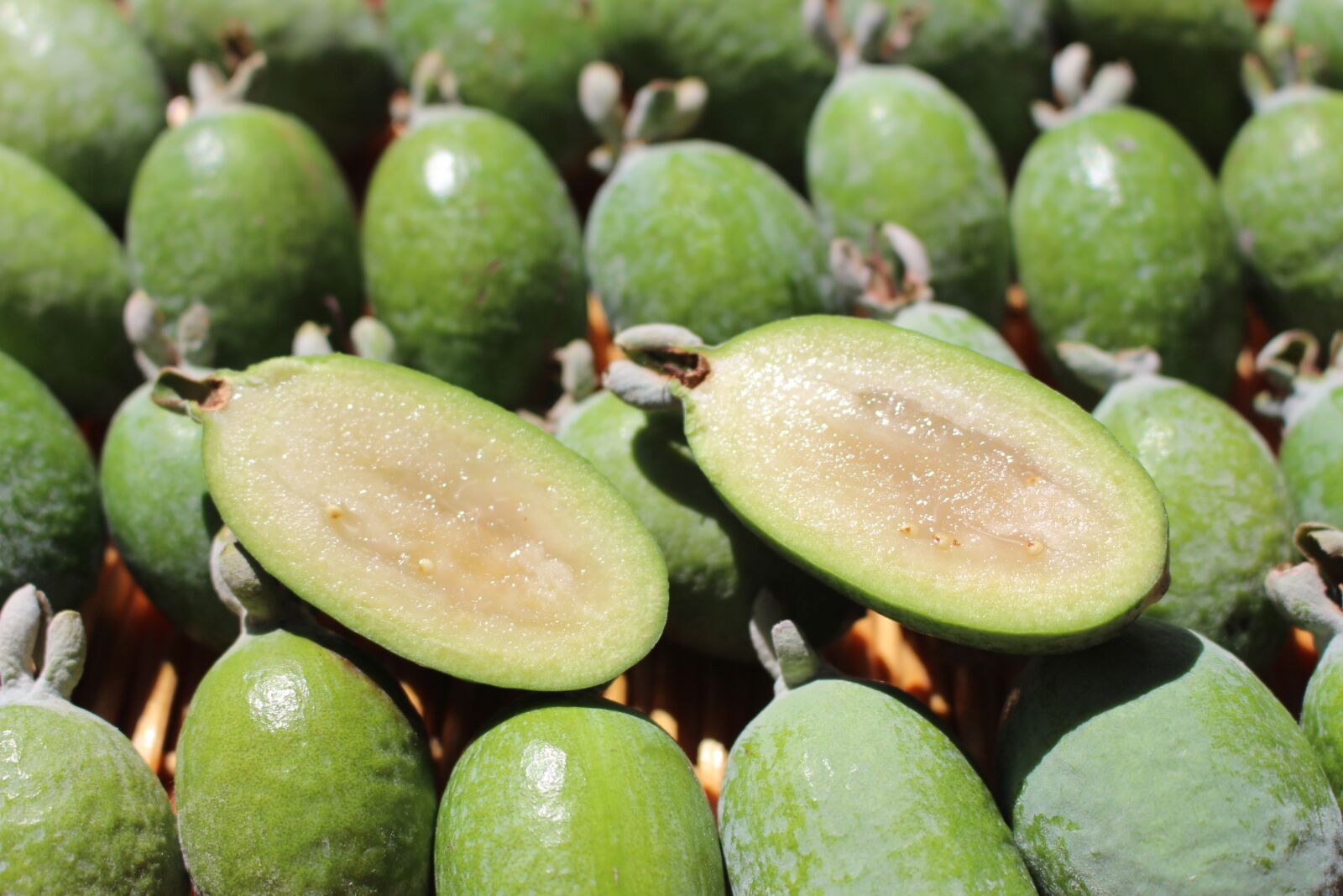 Canon EOS 700D (EOS Rebel T5i / EOS Kiss X7i) sample photo. Feijoas, pineapple guava, guavasteen photography