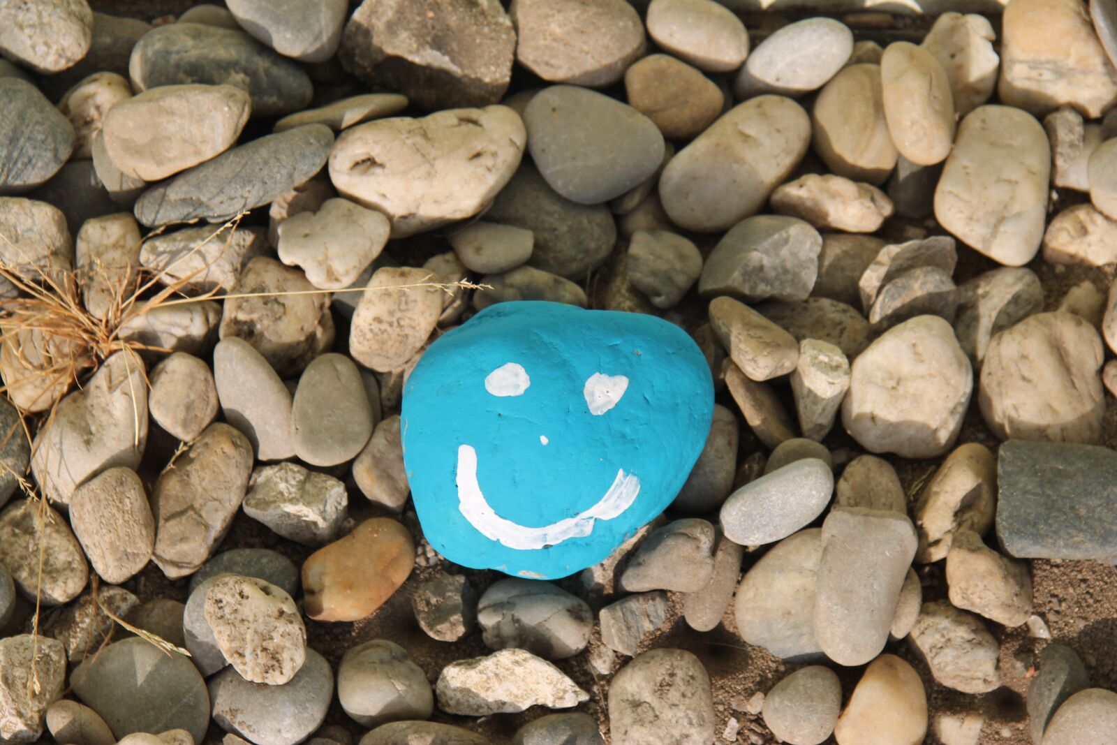 Canon EF-S 17-85mm F4-5.6 IS USM sample photo. Stones, smiley, pebble photography
