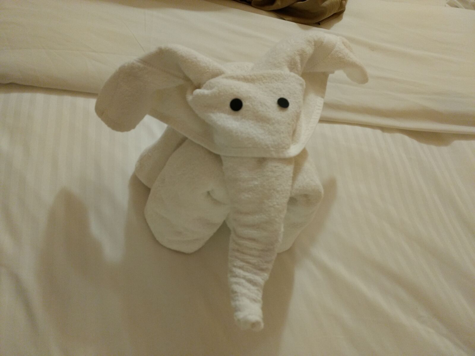 Motorola Moto G (4) sample photo. Towel, elephant, animal photography