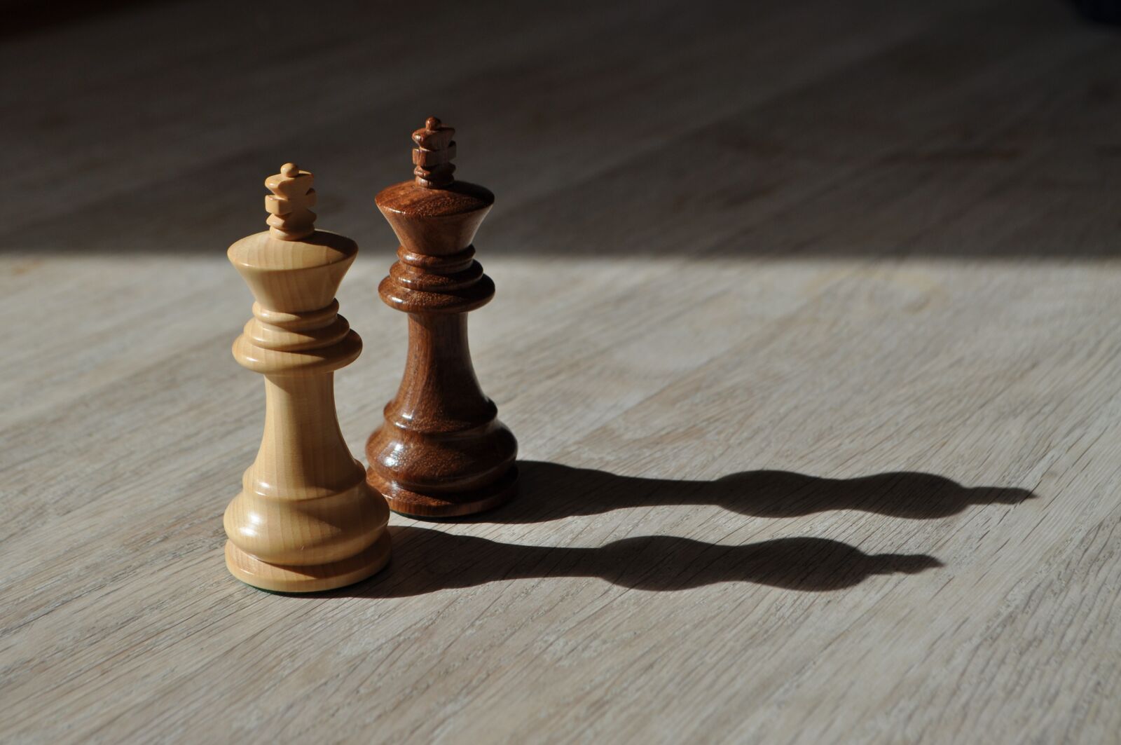 Nikon D5000 sample photo. Chess, strategy, shadow photography