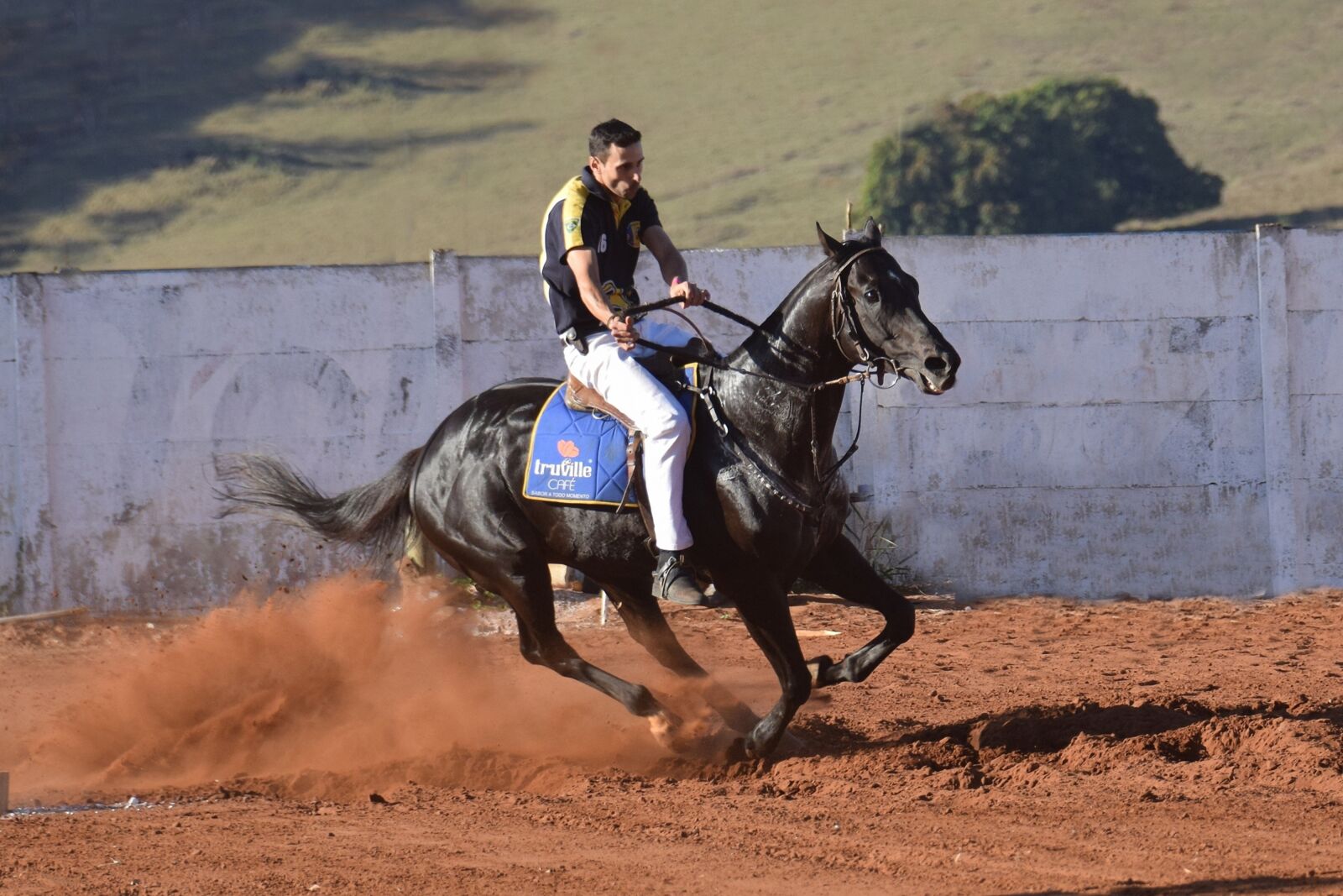 Nikon D5300 sample photo. Horse, knight, equine photography