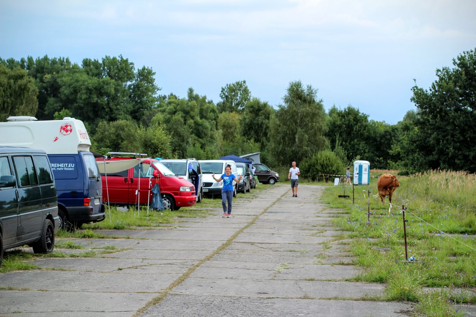 Canon EOS 600D (Rebel EOS T3i / EOS Kiss X5) + Canon EF 50mm F1.4 USM sample photo. Camping, cows, wilderness photography