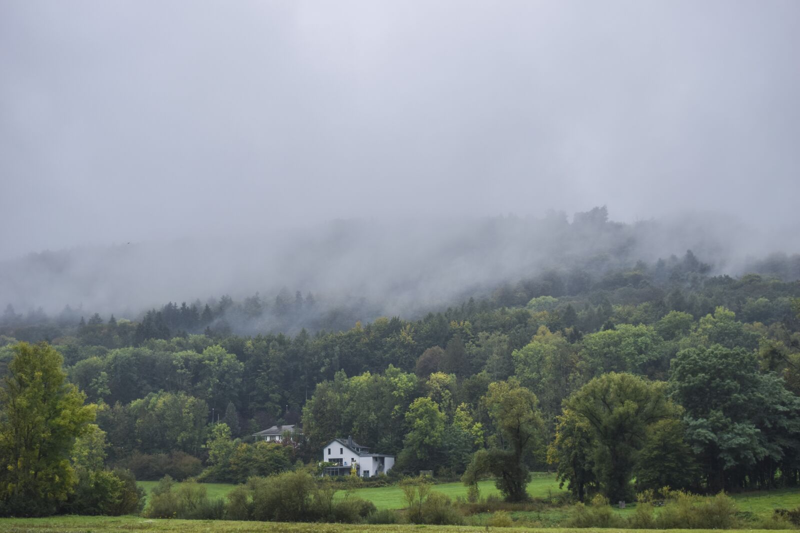 Nikon D3300 sample photo. Landscape, fog, forest photography