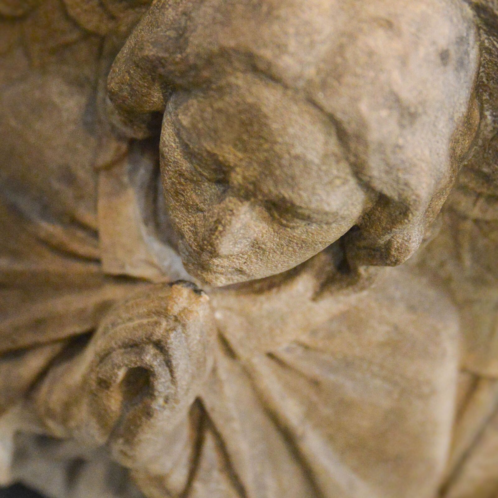 Nikon D800 sample photo. Angel, prayer, christianity photography