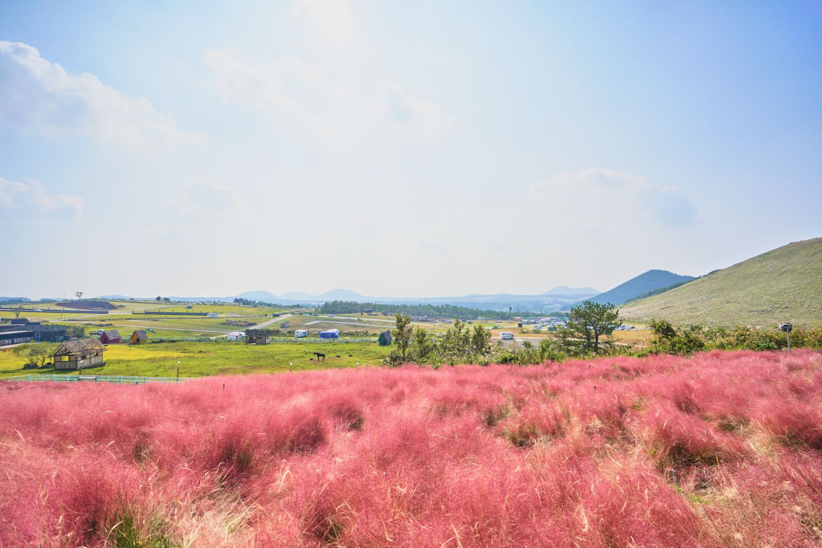 Sony a7 III + Sony FE 16-35mm F2.8 GM sample photo. Korea, republic of korea photography