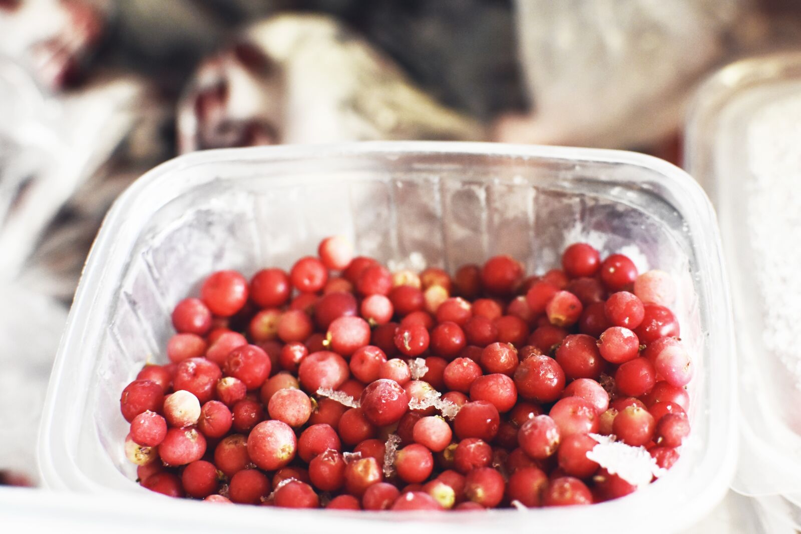Nikon D7200 sample photo. Fridge, berry, red berry photography