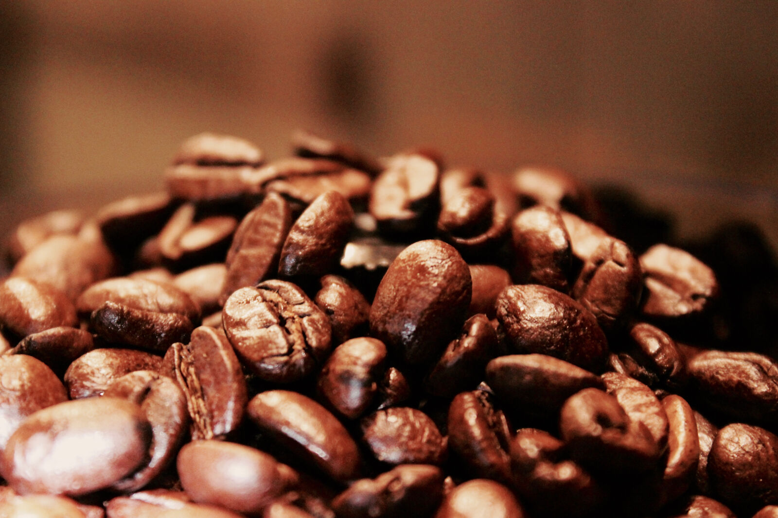 Canon EOS 600D (Rebel EOS T3i / EOS Kiss X5) sample photo. Beens, coffee, night, theme photography