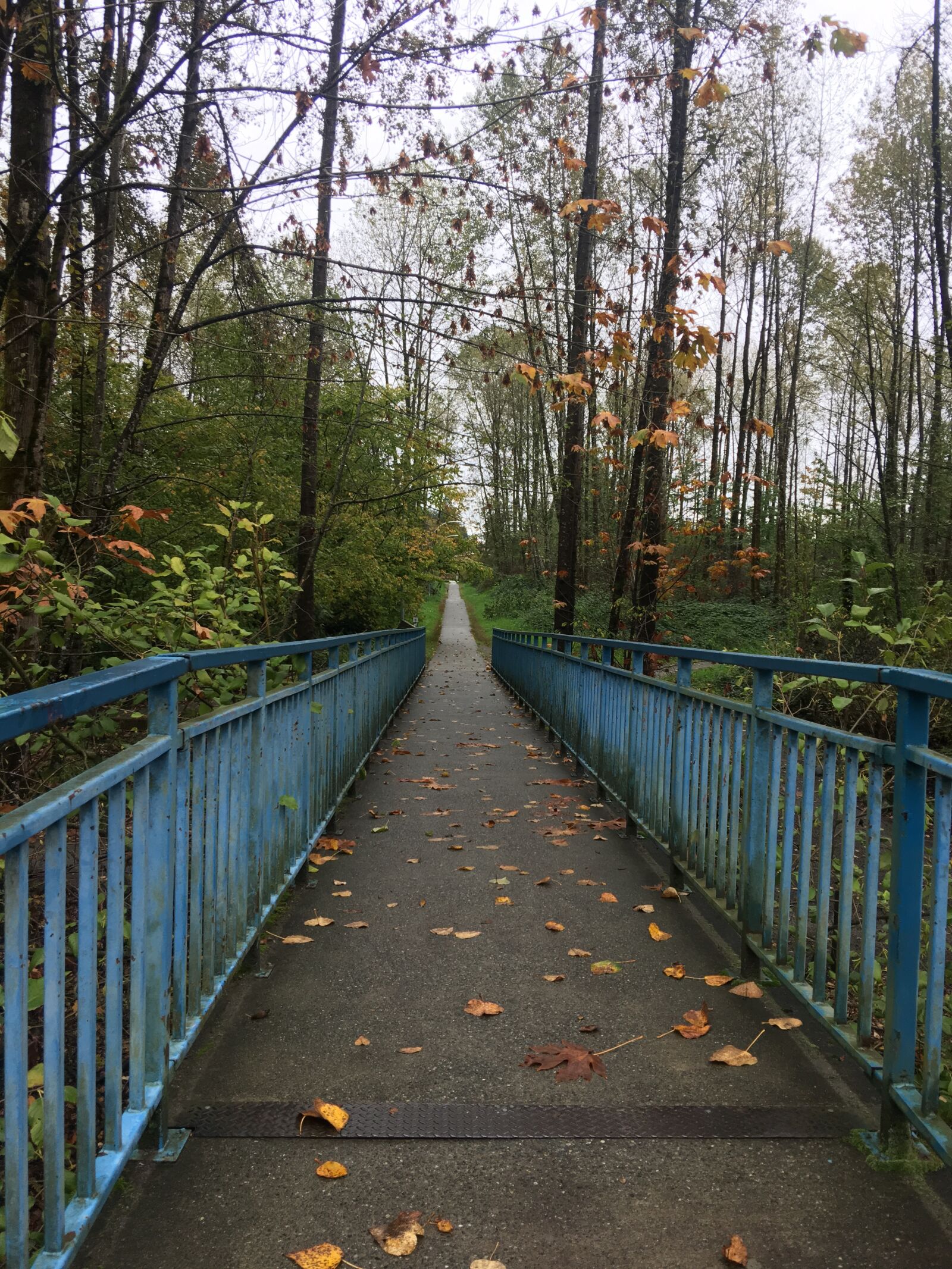 iPhone 6s Plus back camera 4.15mm f/2.2 sample photo. Bridge, fall, autumn photography