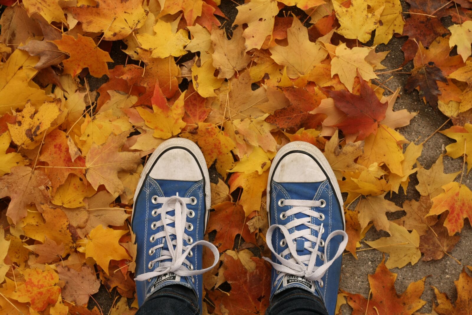 Canon EOS 1000D (EOS Digital Rebel XS / EOS Kiss F) sample photo. Fall, autumn, shoes photography