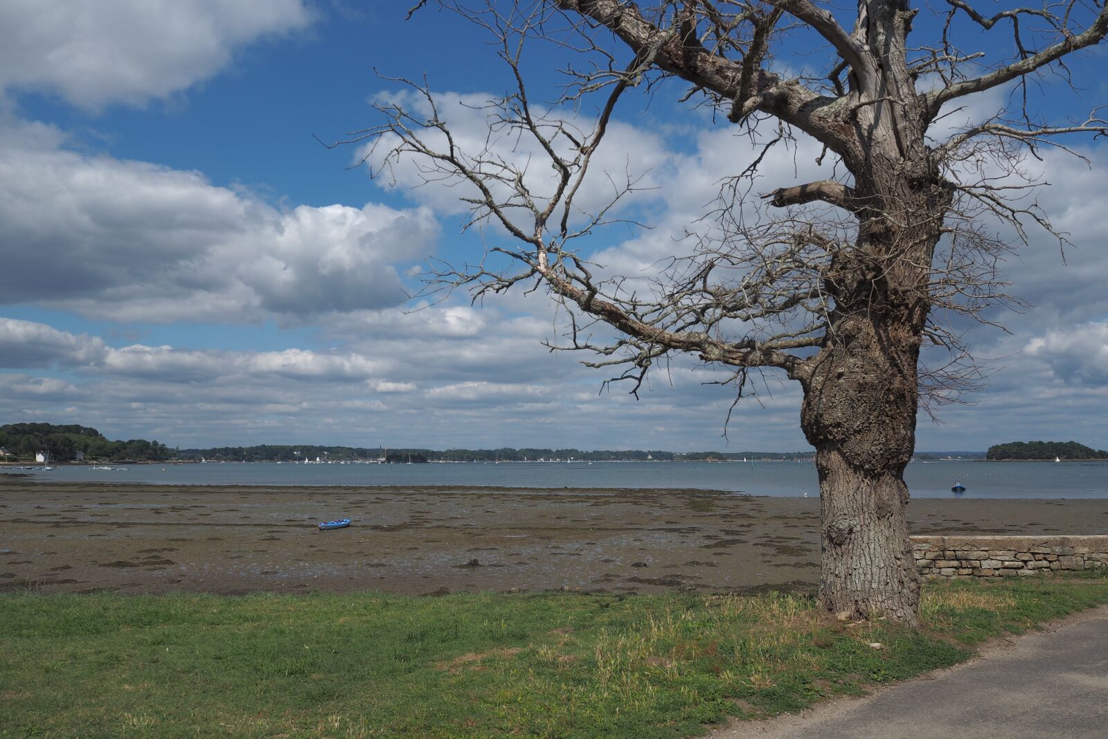 Olympus OM-D E-M10 sample photo. Blue, color, maritime photography