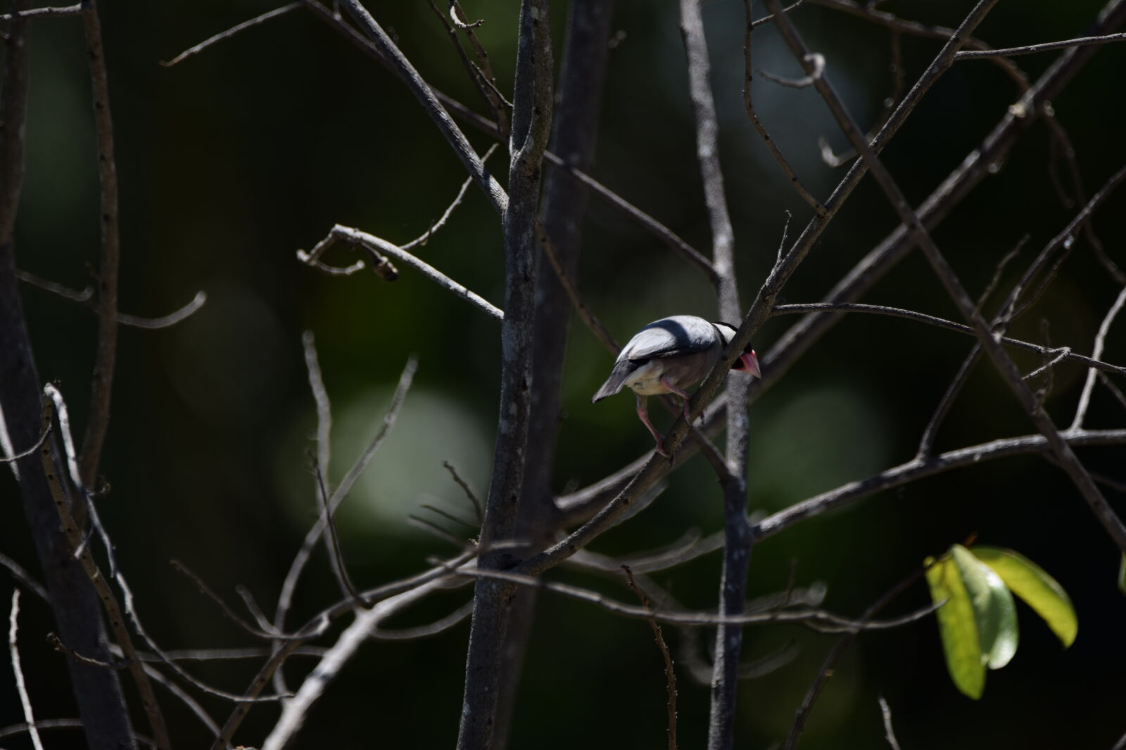 Nikon D3300 sample photo