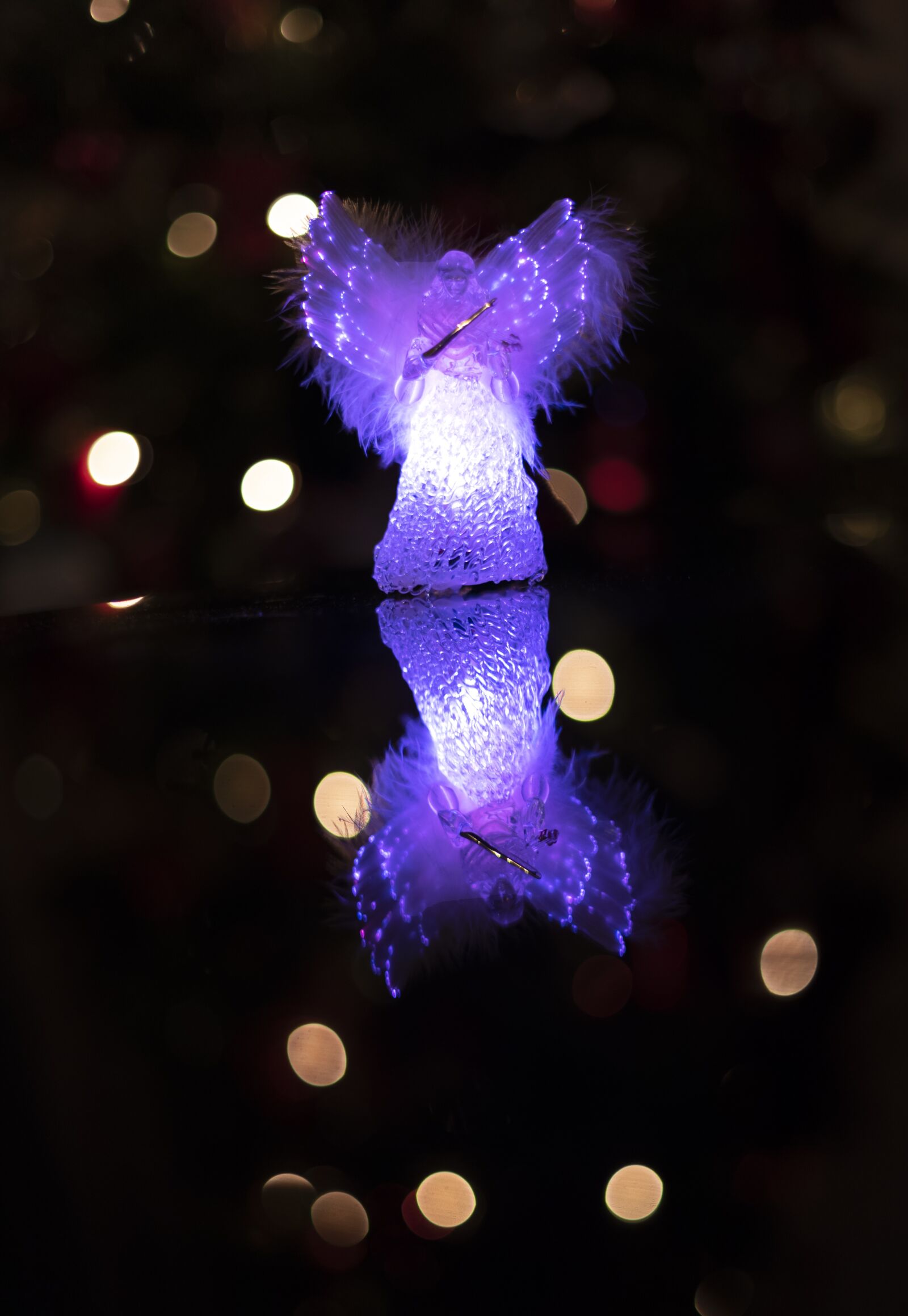 Nikon D750 sample photo. Christmas, lights, holiday photography
