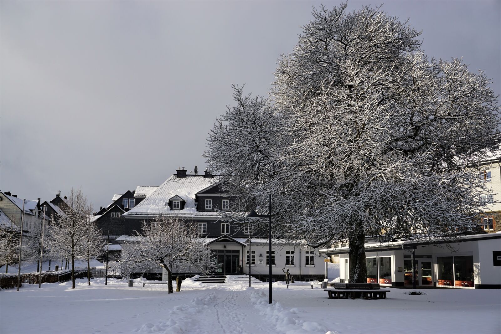 Sony E 16-50mm F3.5-5.6 PZ OSS sample photo. Chestnut tree, winter, snow photography