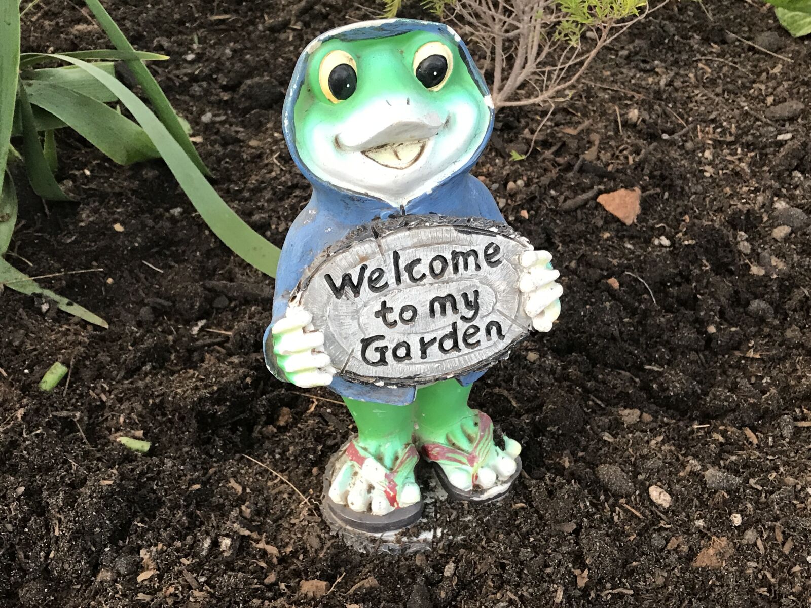 Apple iPhone 7 Plus sample photo. Garden, frog, dirt photography