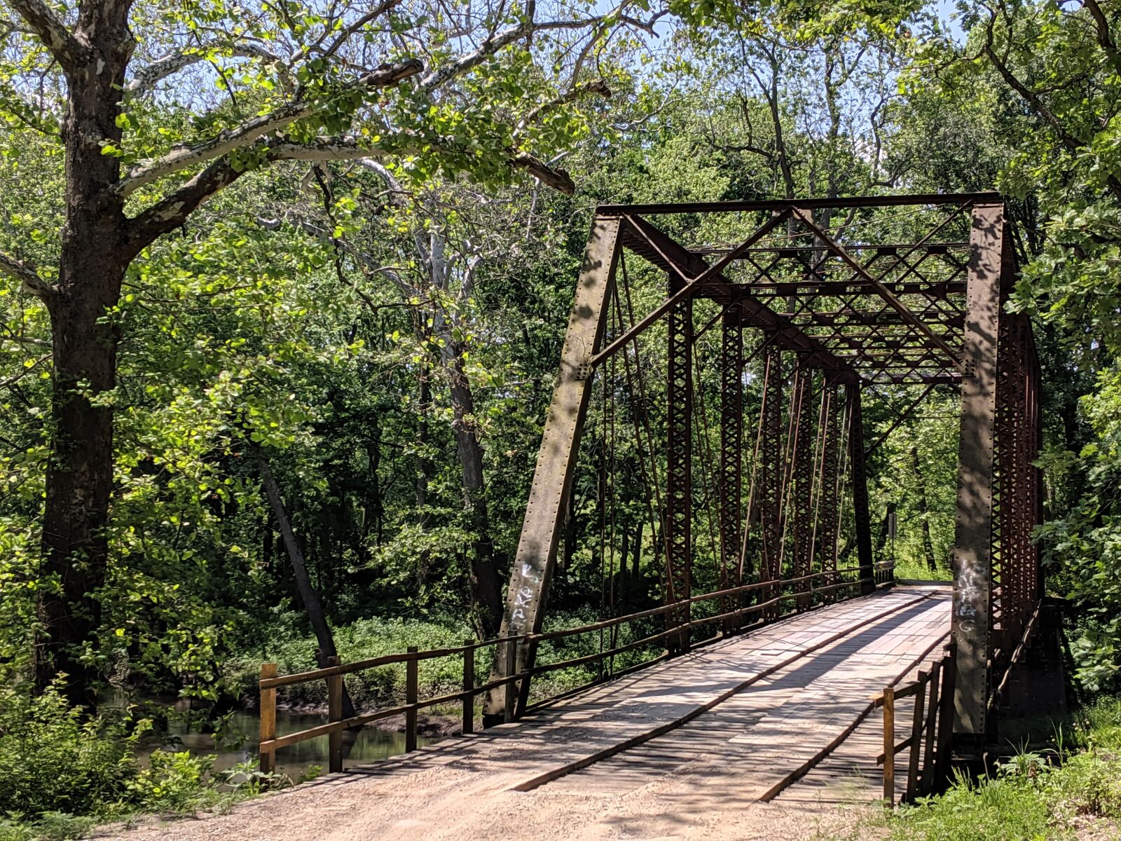 Google Pixel 3a sample photo. Bridge, nature, woods photography